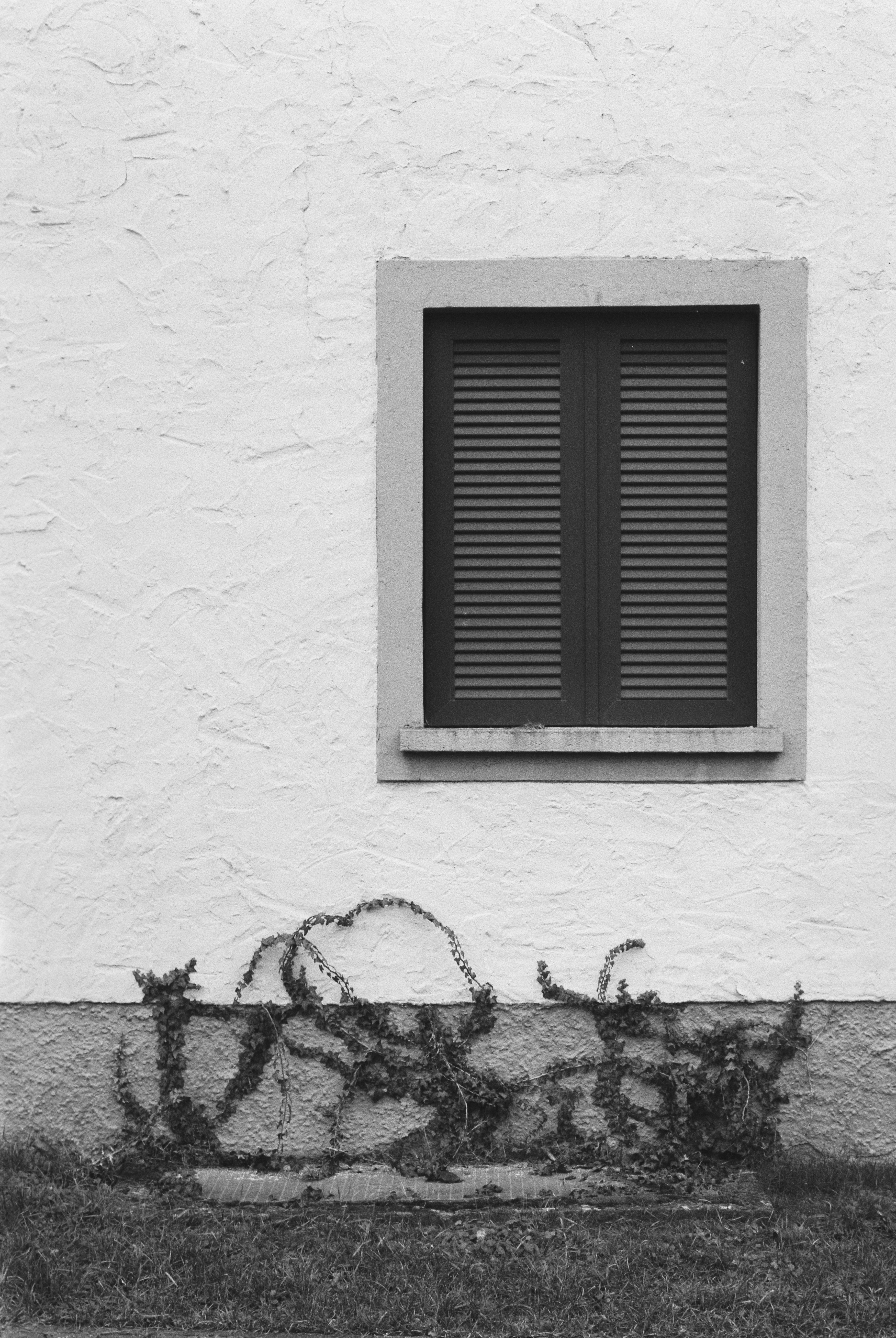 Una ventana cerrada sobre una pared texturizada con hiedra.