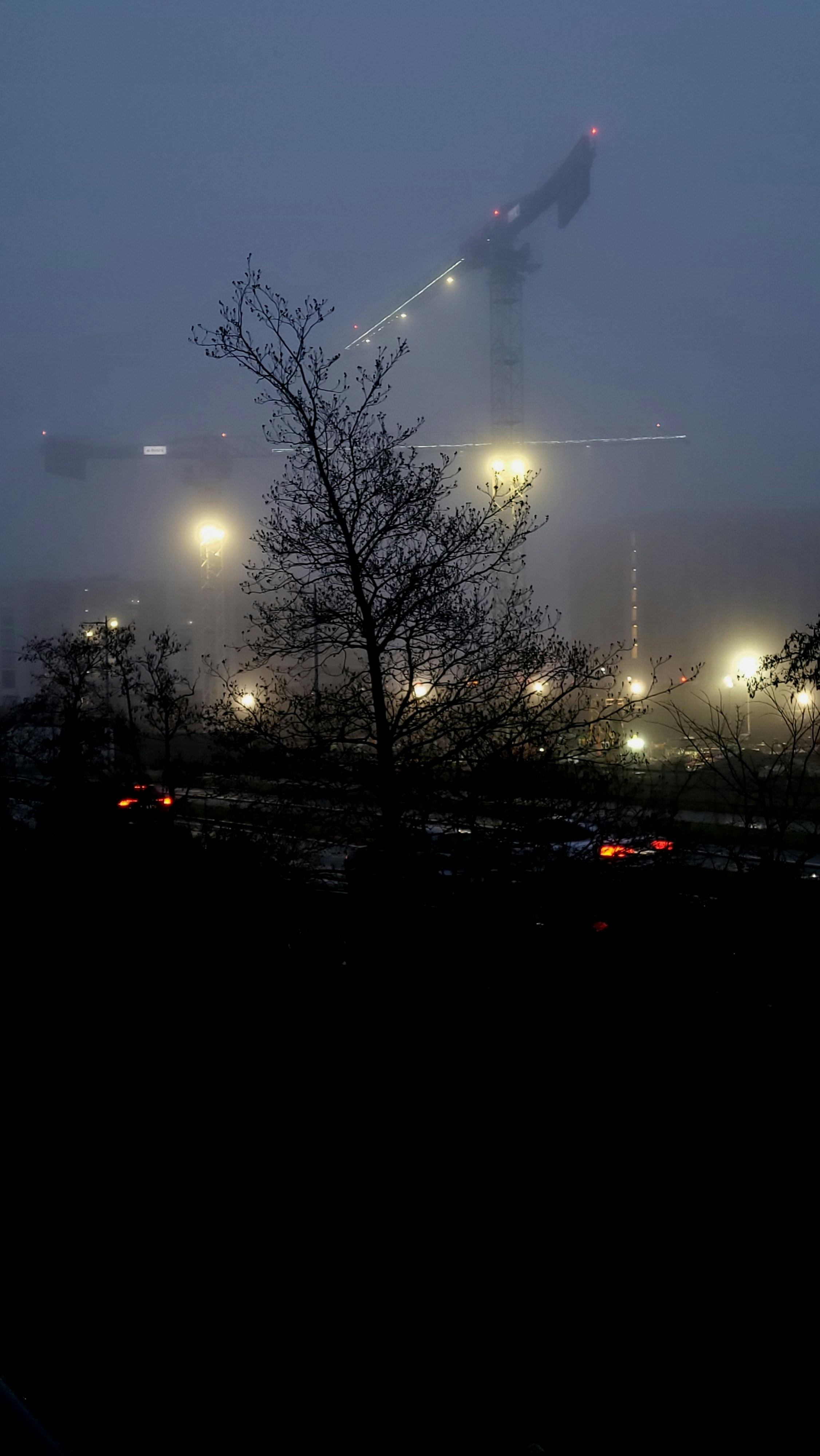 Gru da costruzione nella nebbia di notte con luci.