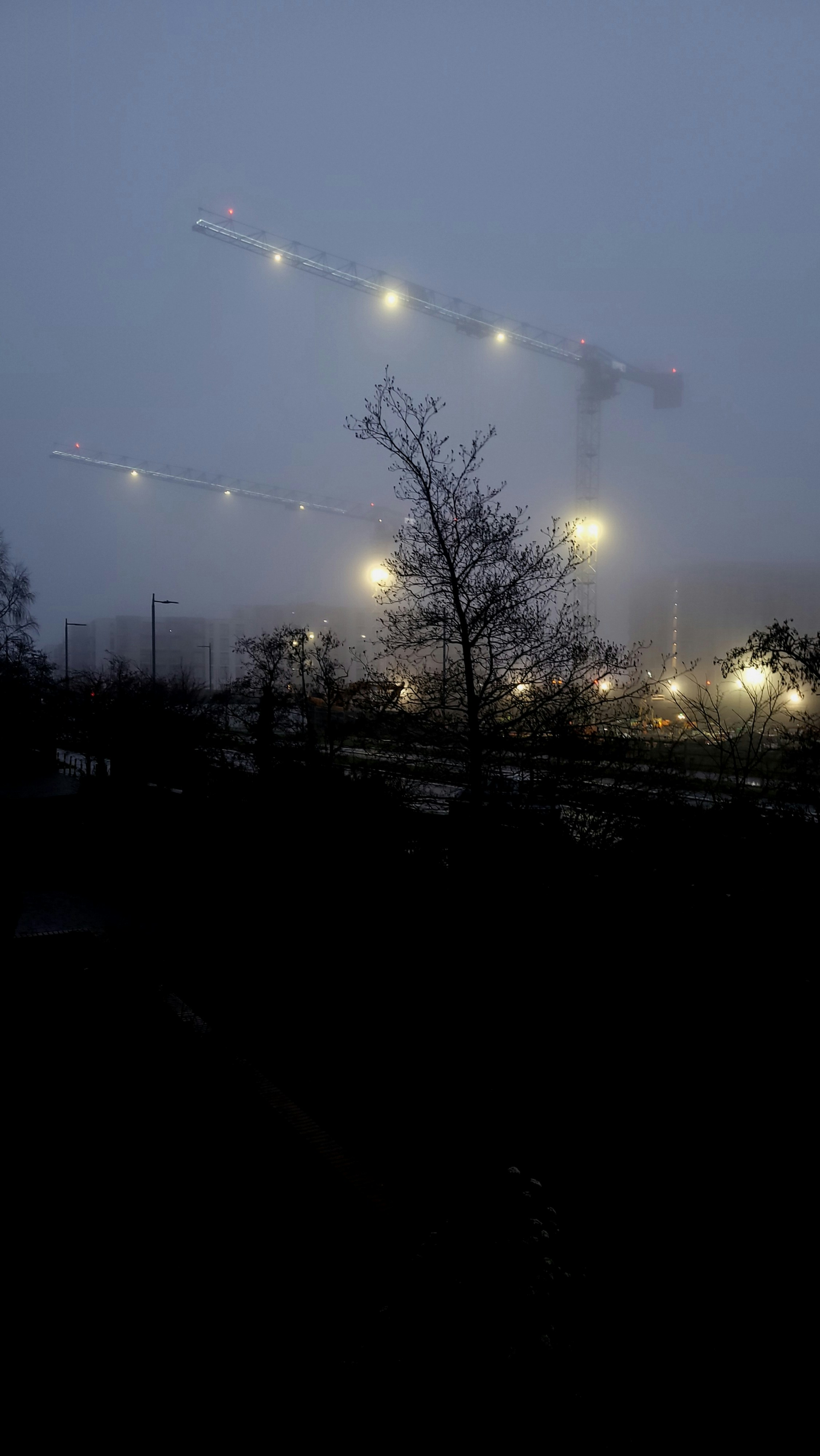 Due gru da costruzione nella nebbia di notte.