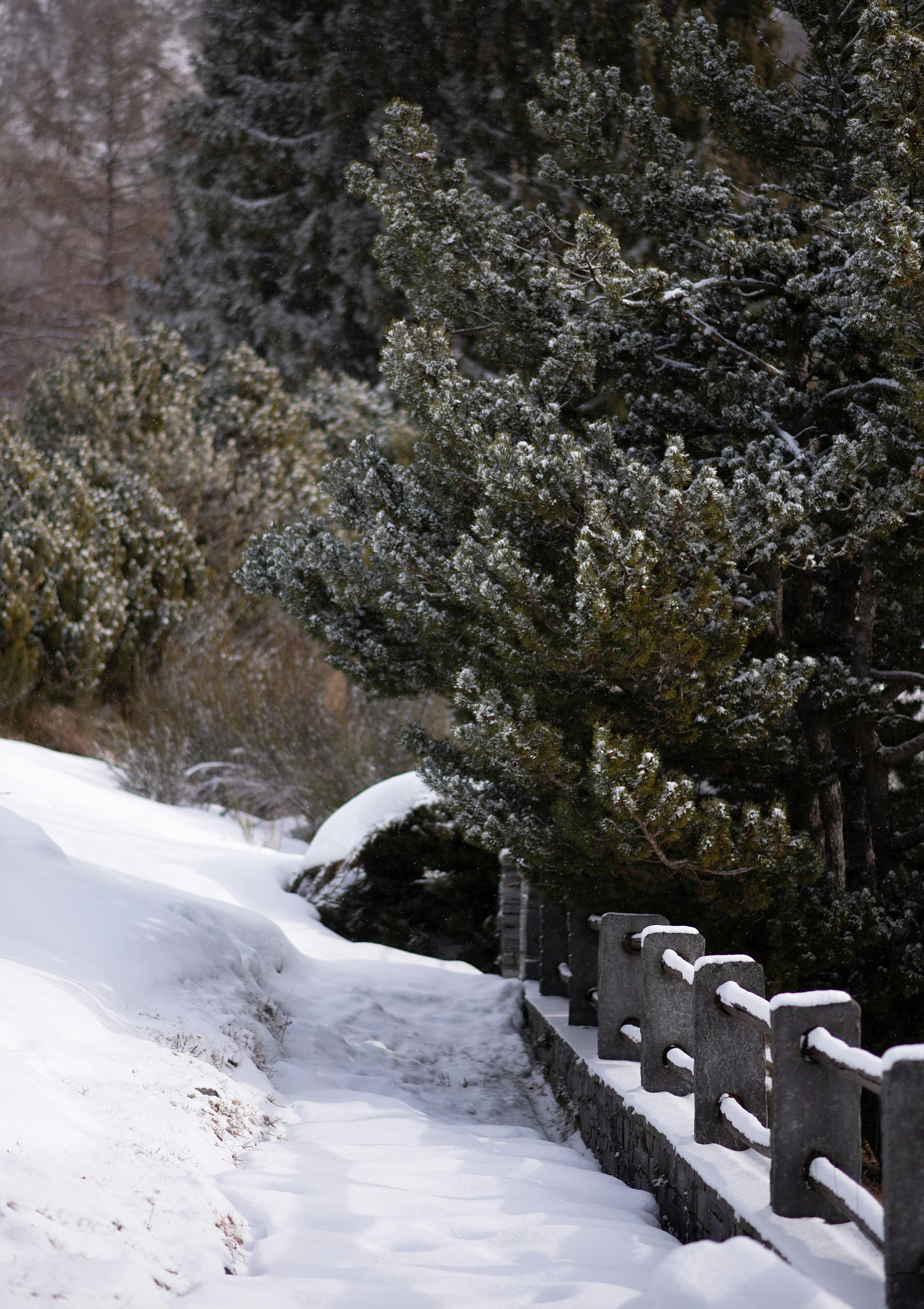 Photo by nadine_gern