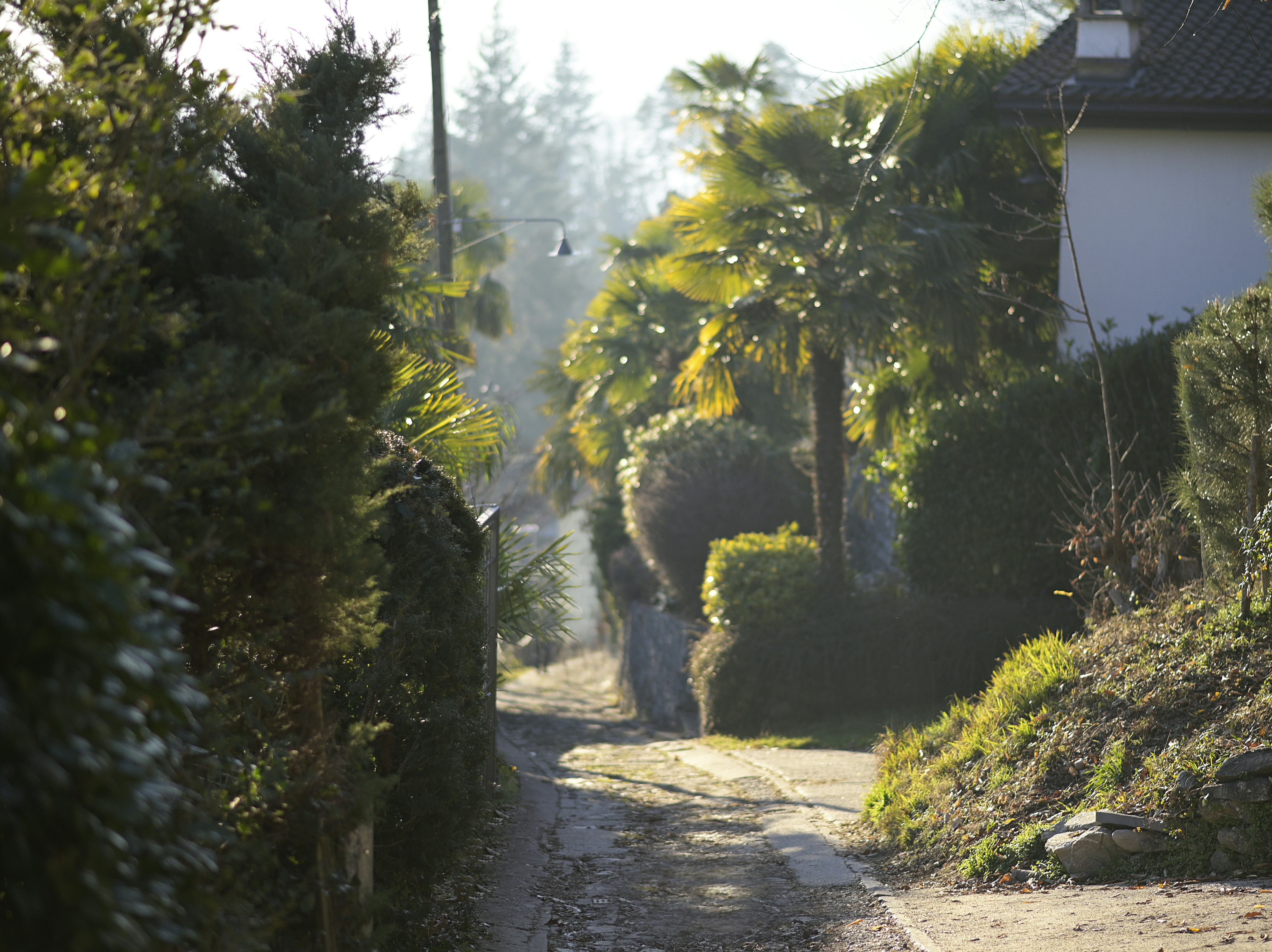 Photo by nadine_gern