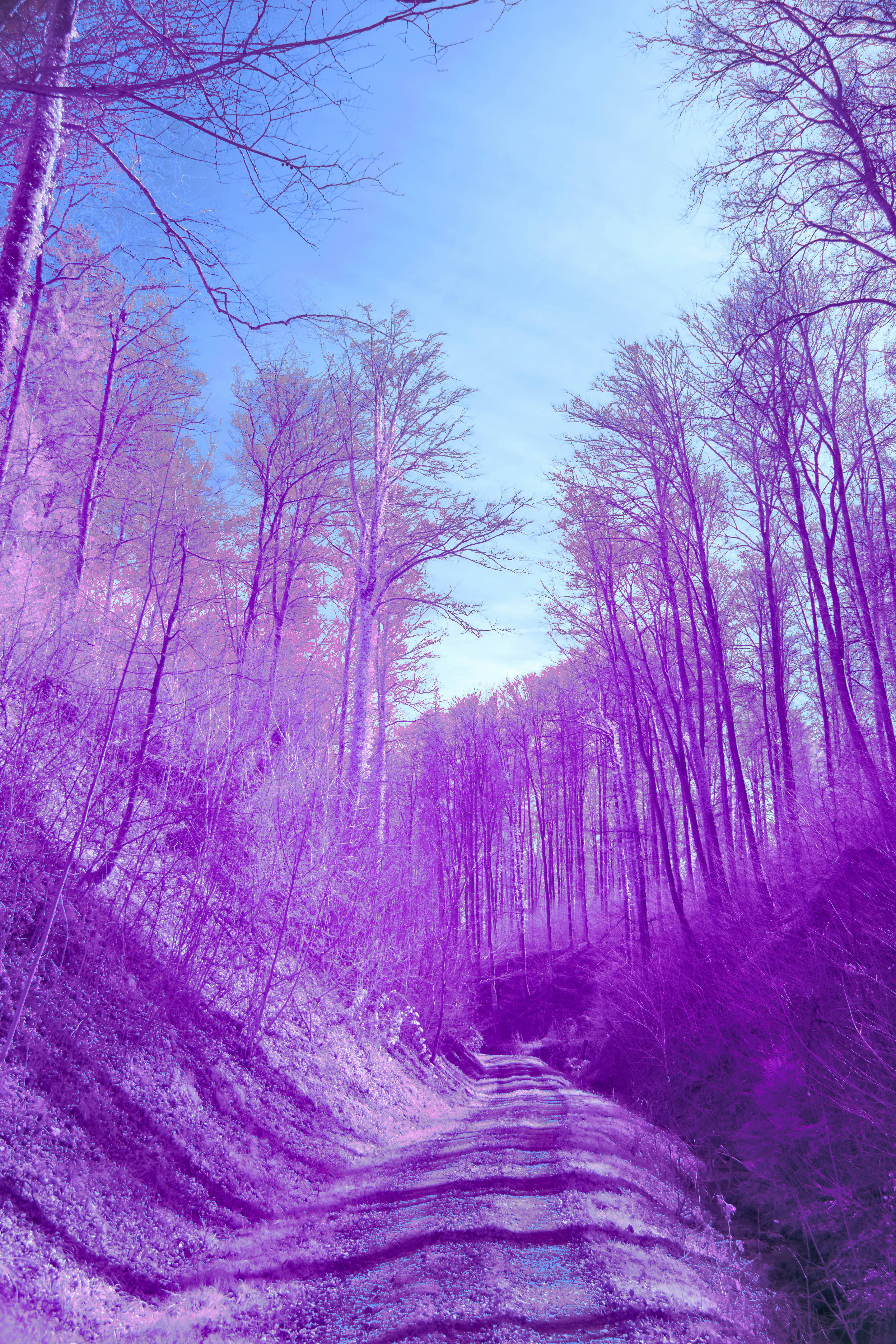 Photo by wolfgang_hasselmann