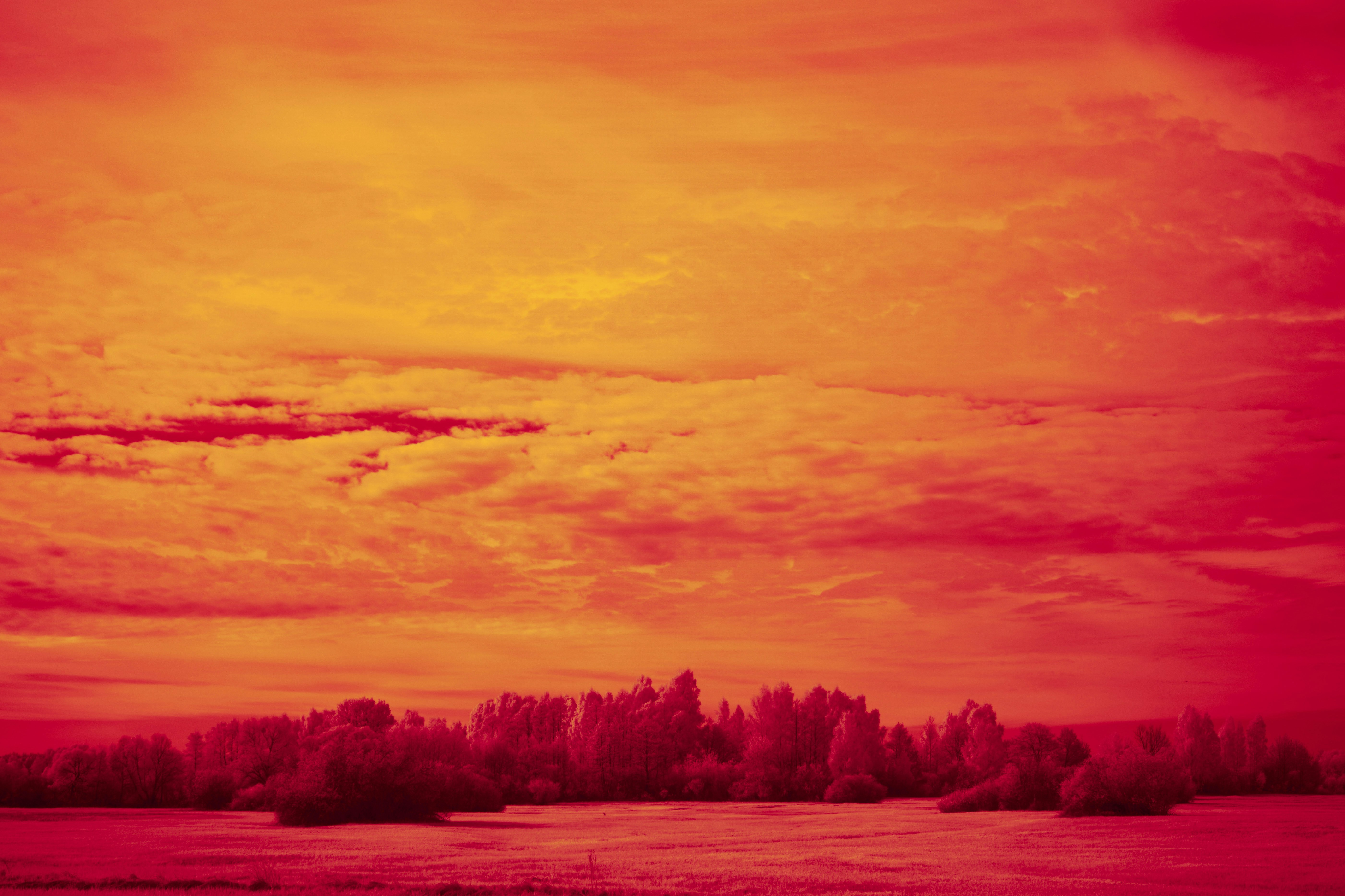 Photo by wolfgang_hasselmann