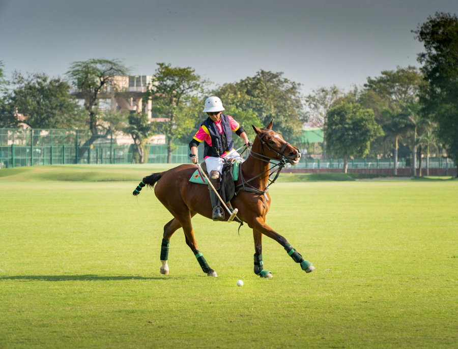 Polo match, Farmington Valley
