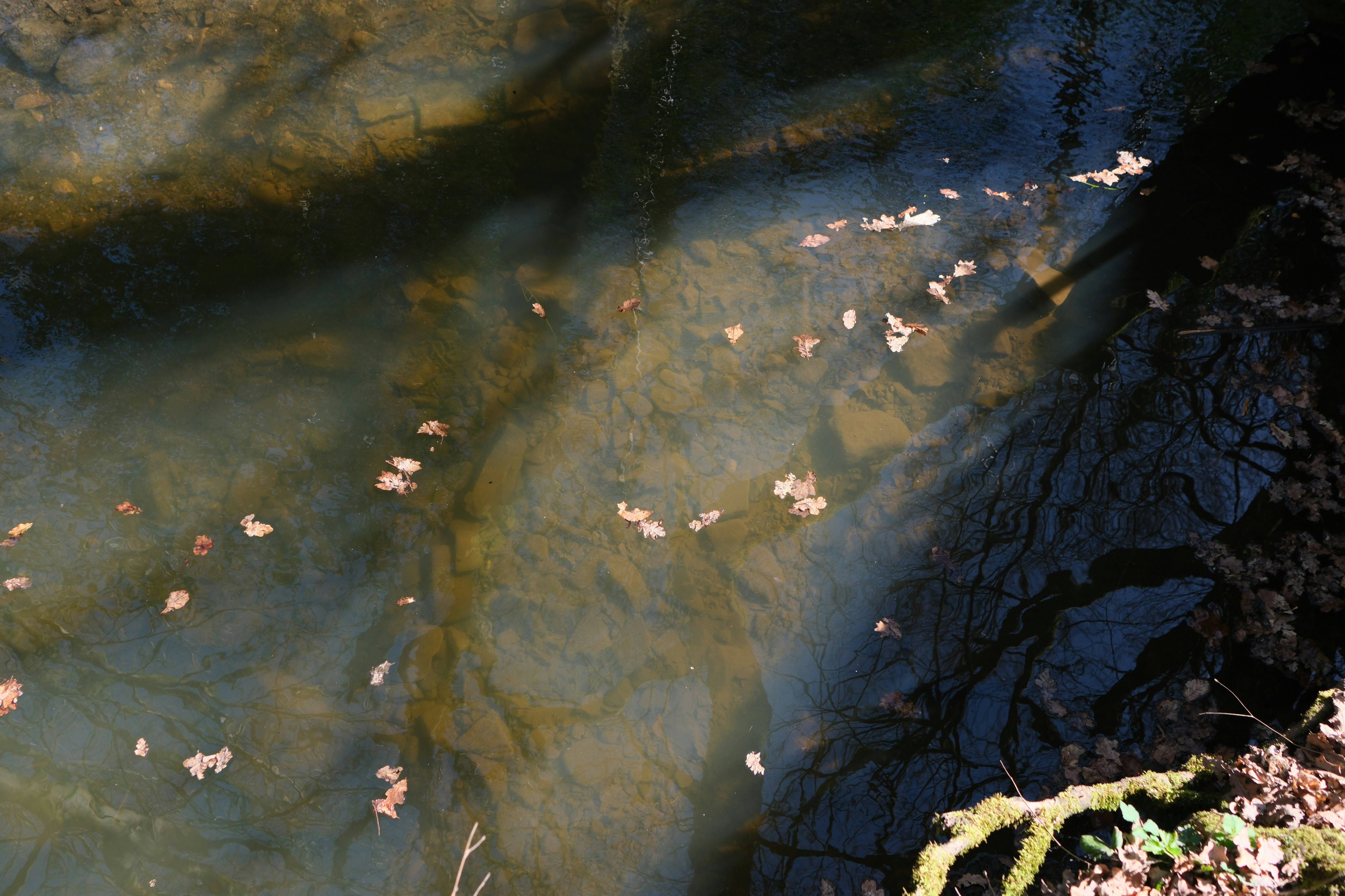 Photo by alekseixagafonov