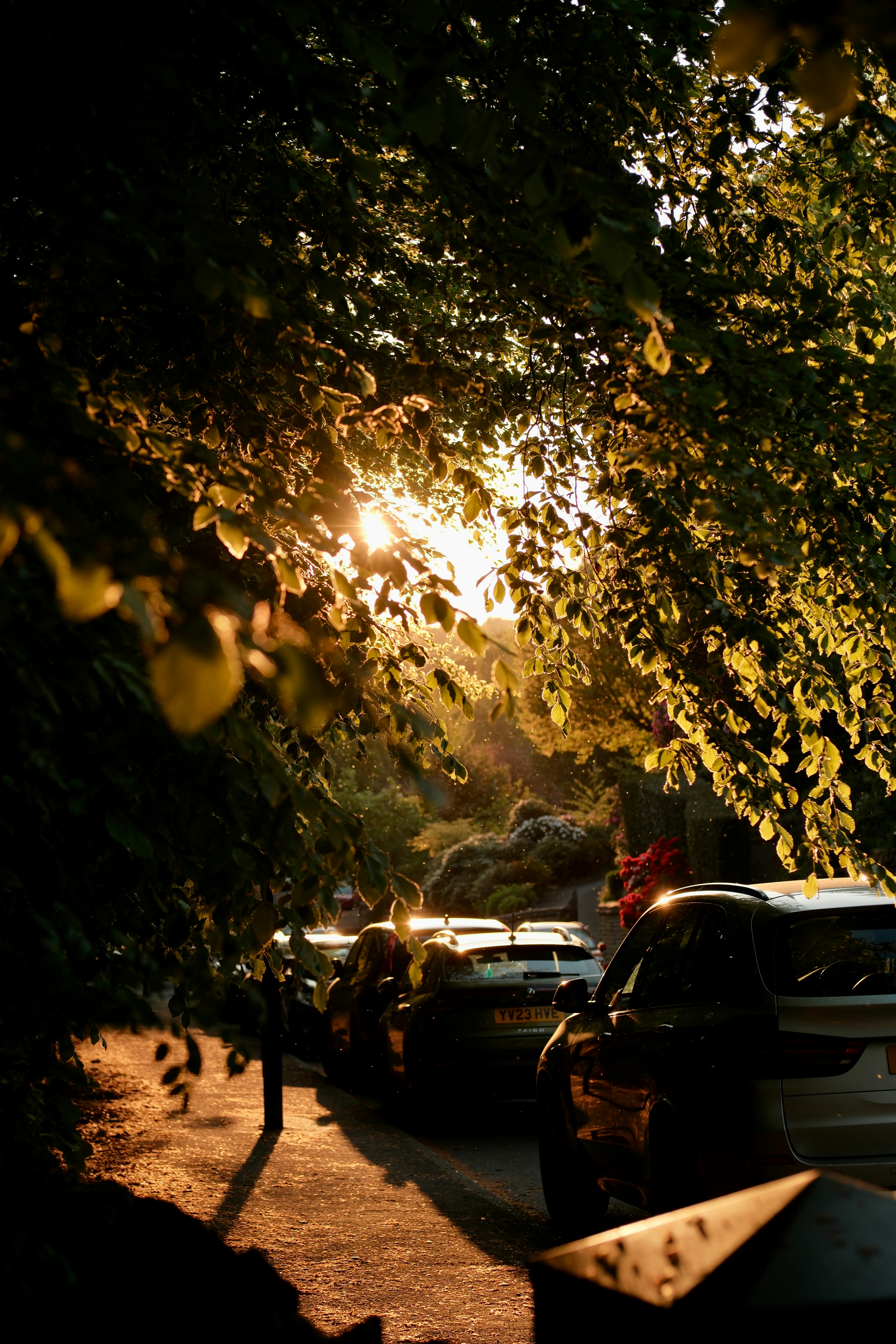 Photo by alekseixagafonov