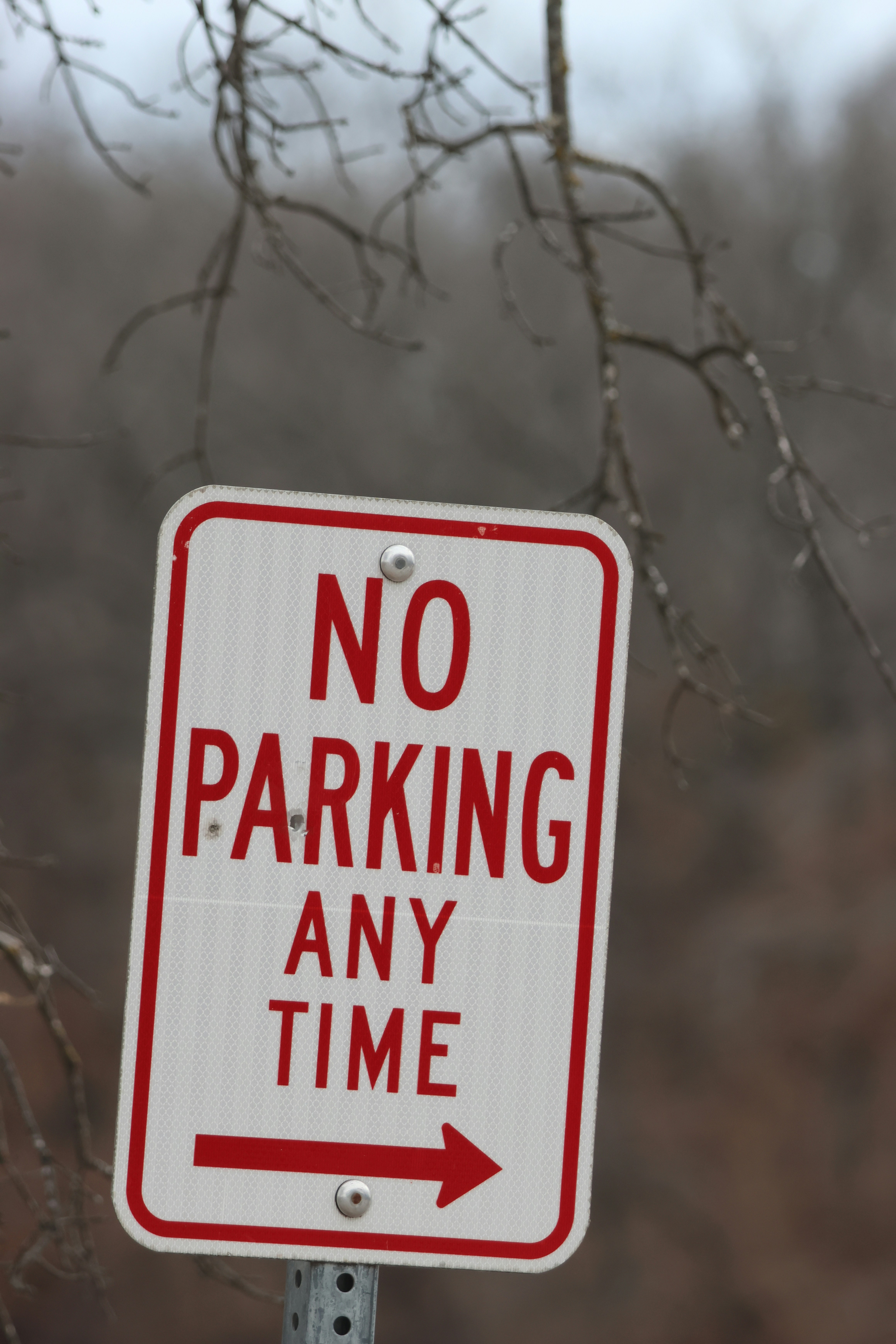 Photo by cornthechicken