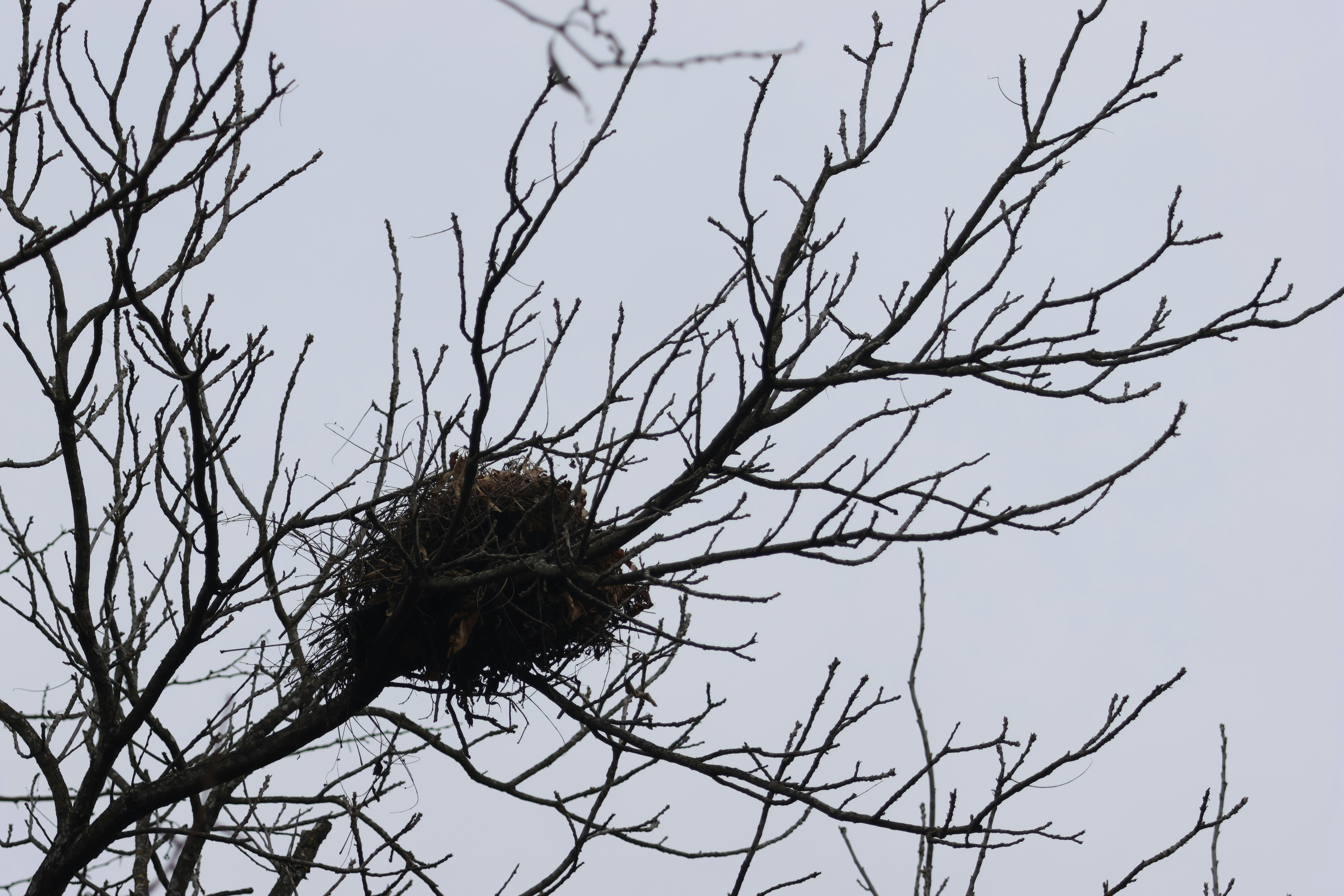 Matinloc Shrine photo 2
