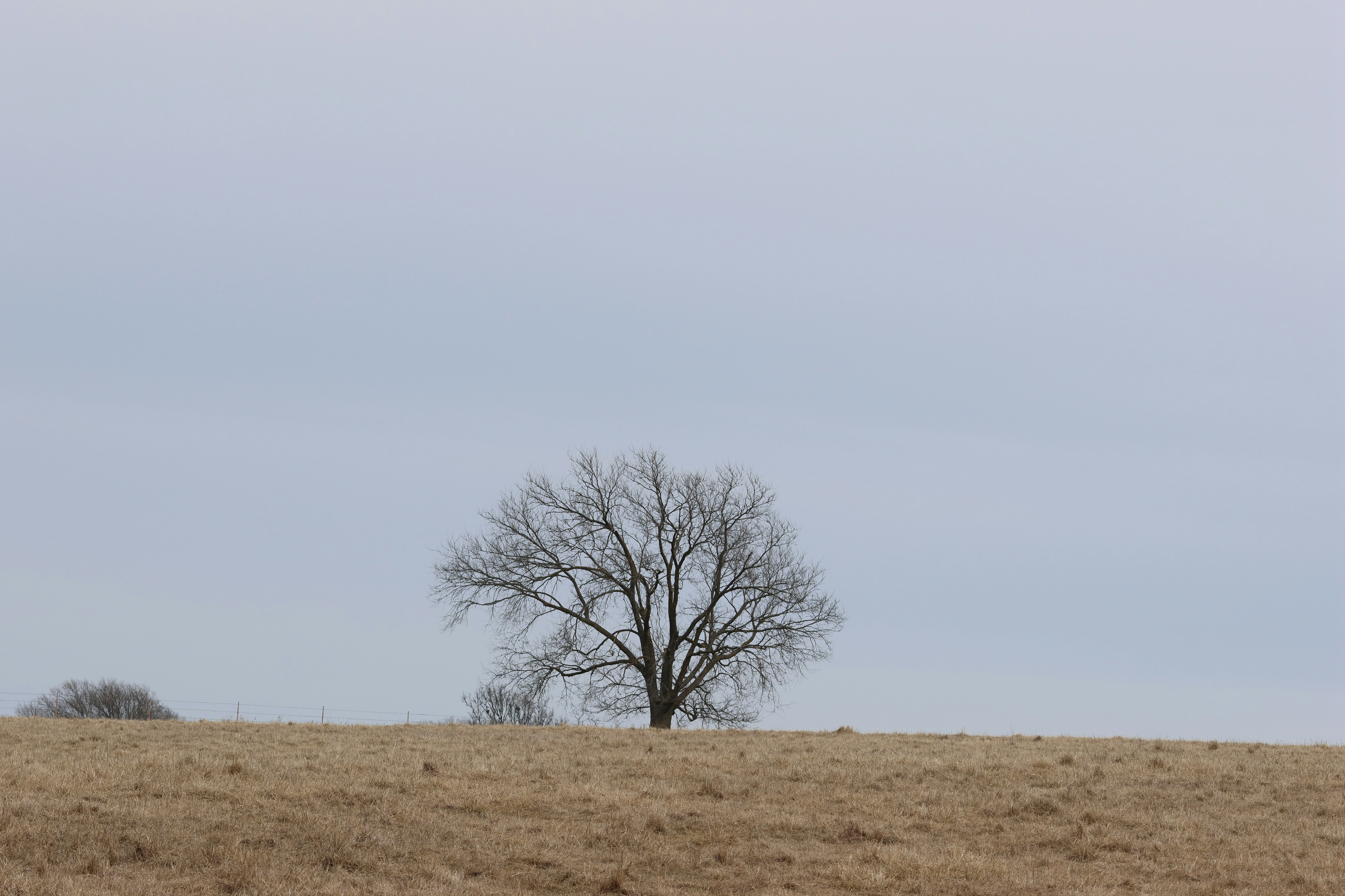 Photo by cornthechicken