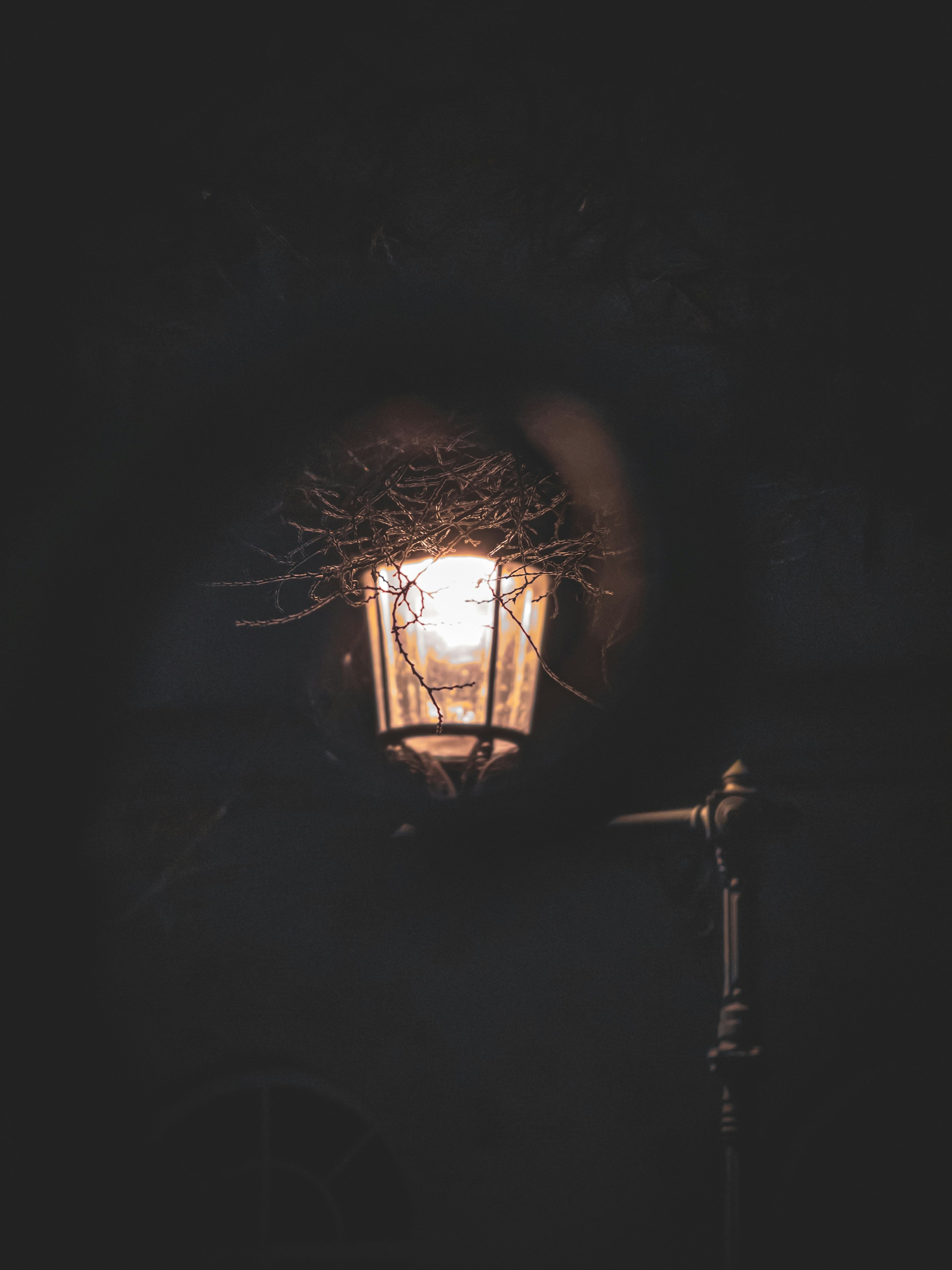 Photo by solomon_6969