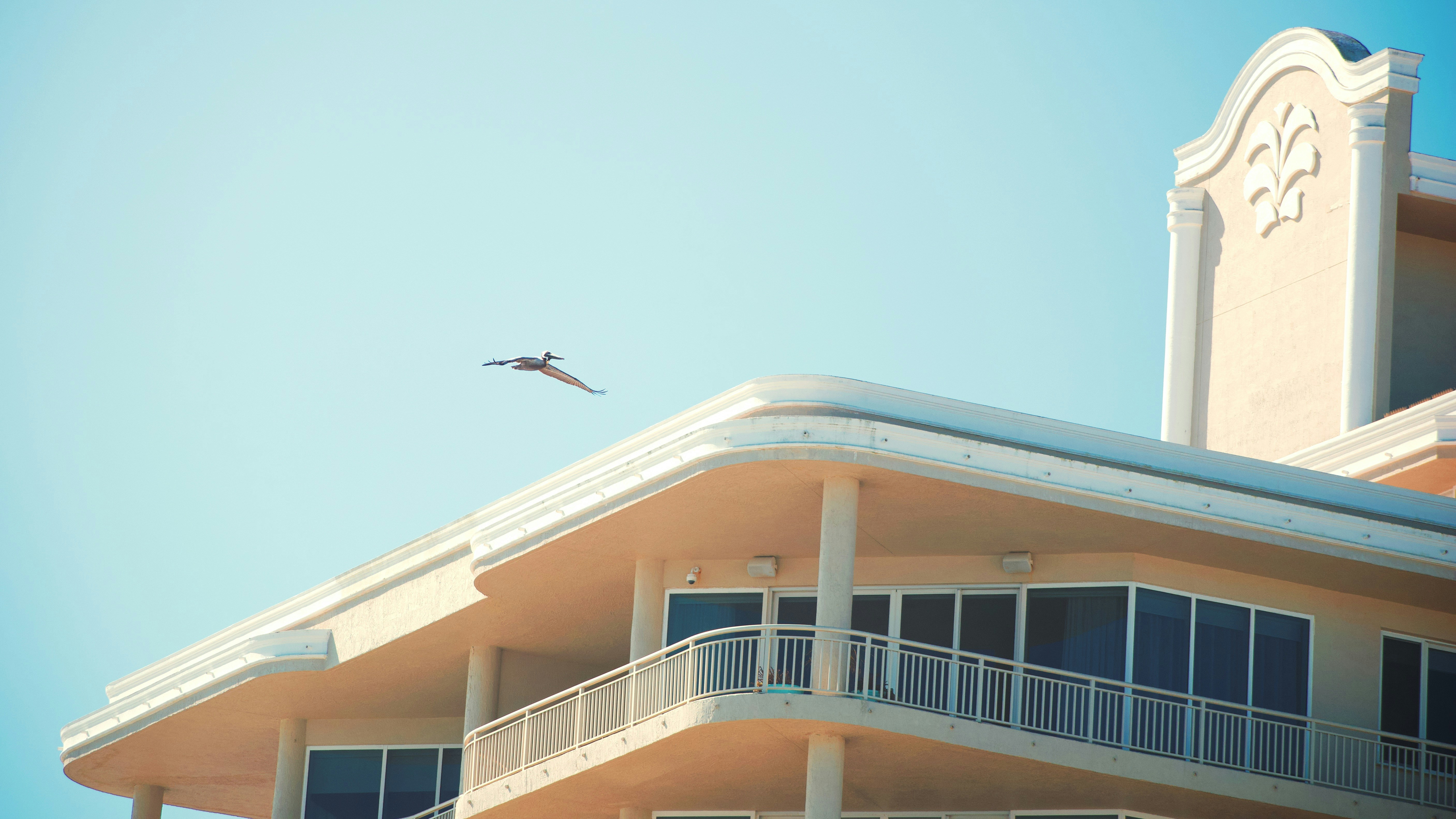 Modern beachfront building with a bird flying.