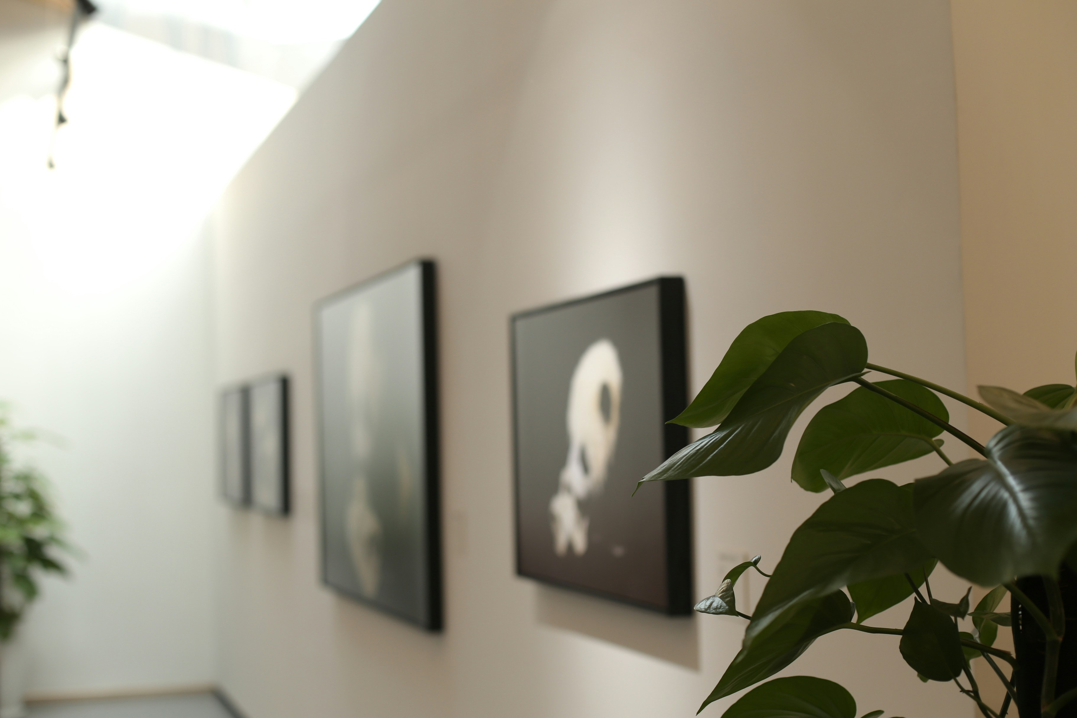 Collecting With Conviction: Building an Art Collection That Reflects Who You Are, Not What's Trending
