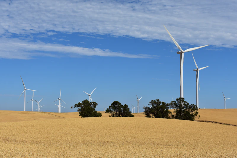 Wind turbines in a Dutch polder landscape