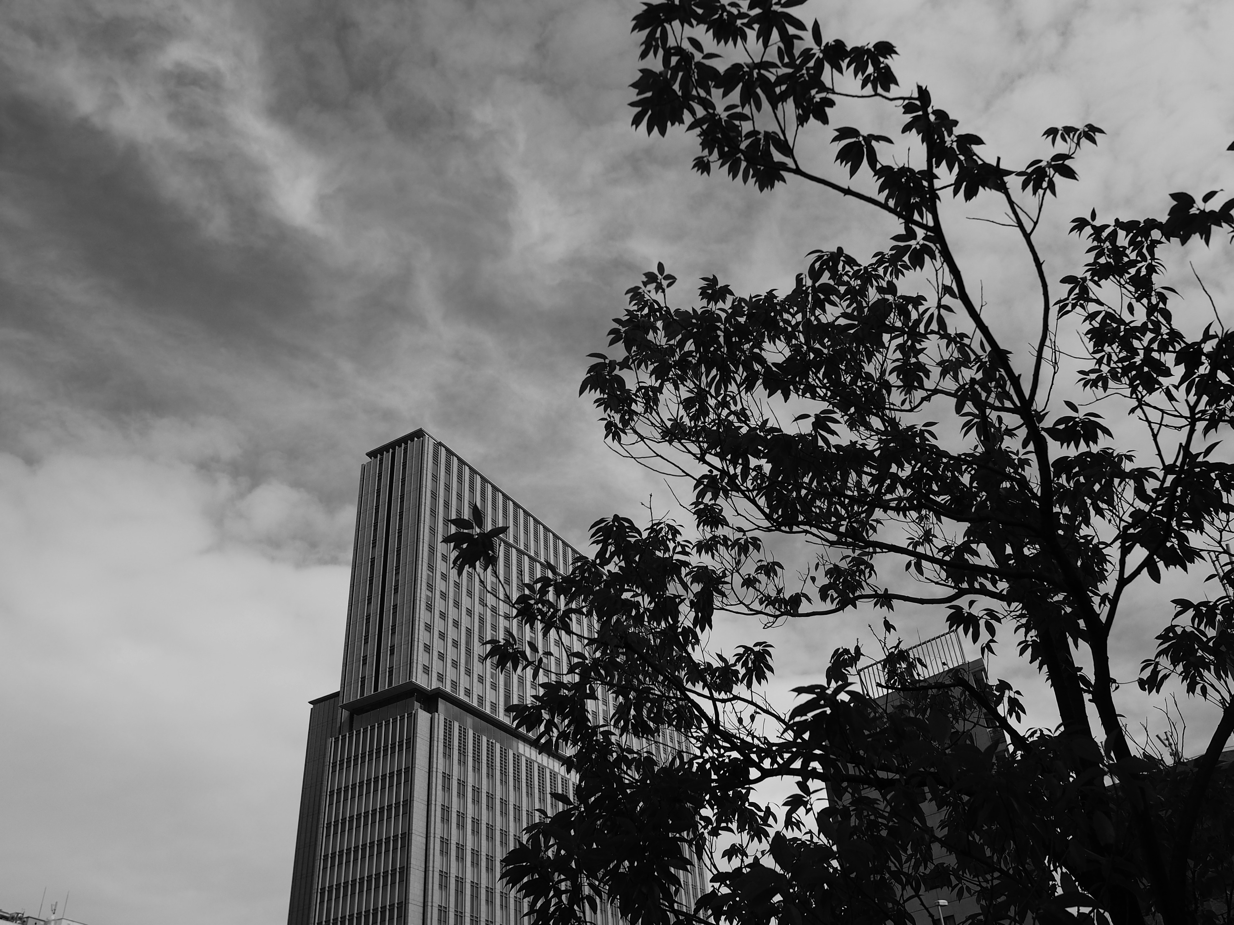 Photo by likesilkto