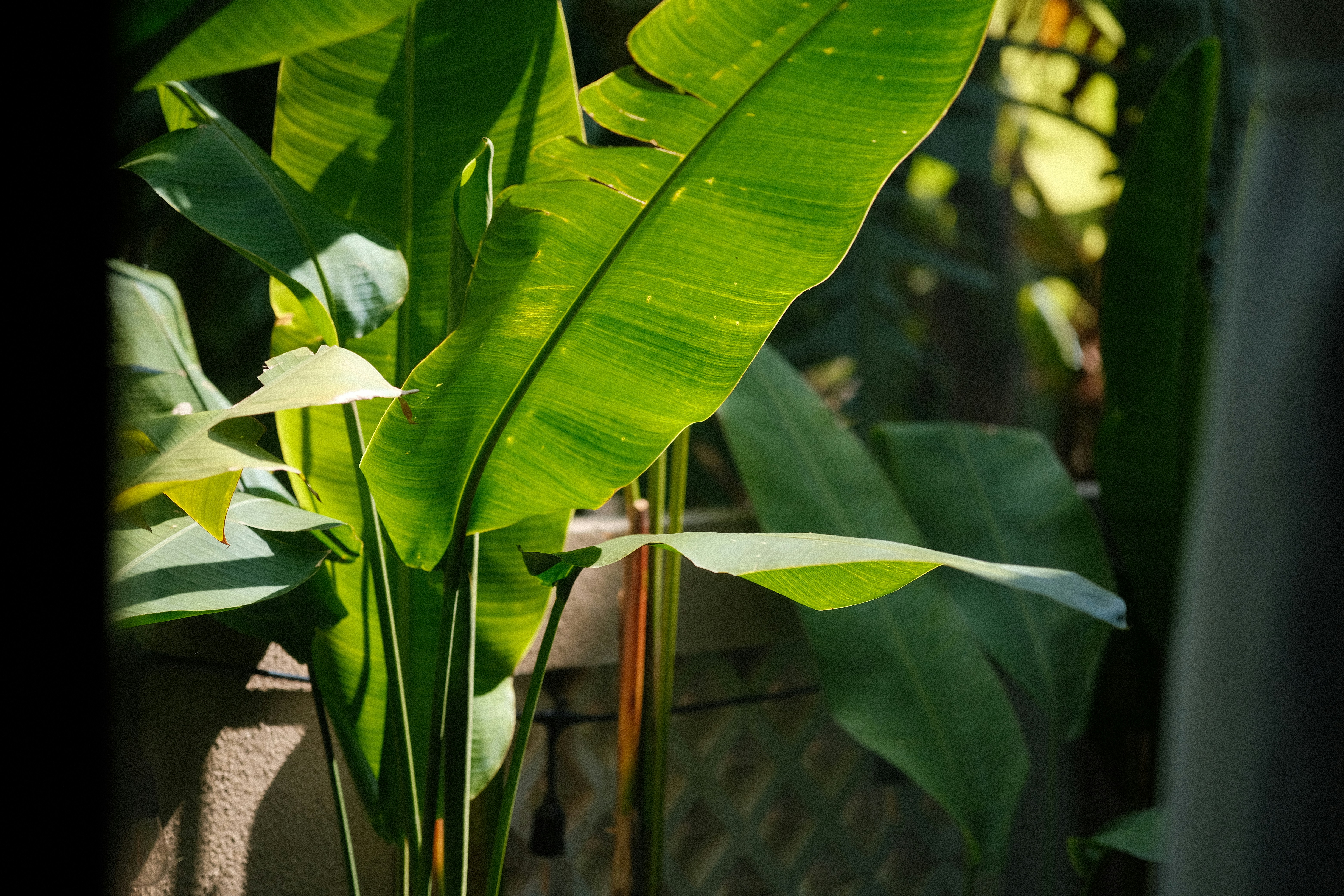 Photo by quangtran304