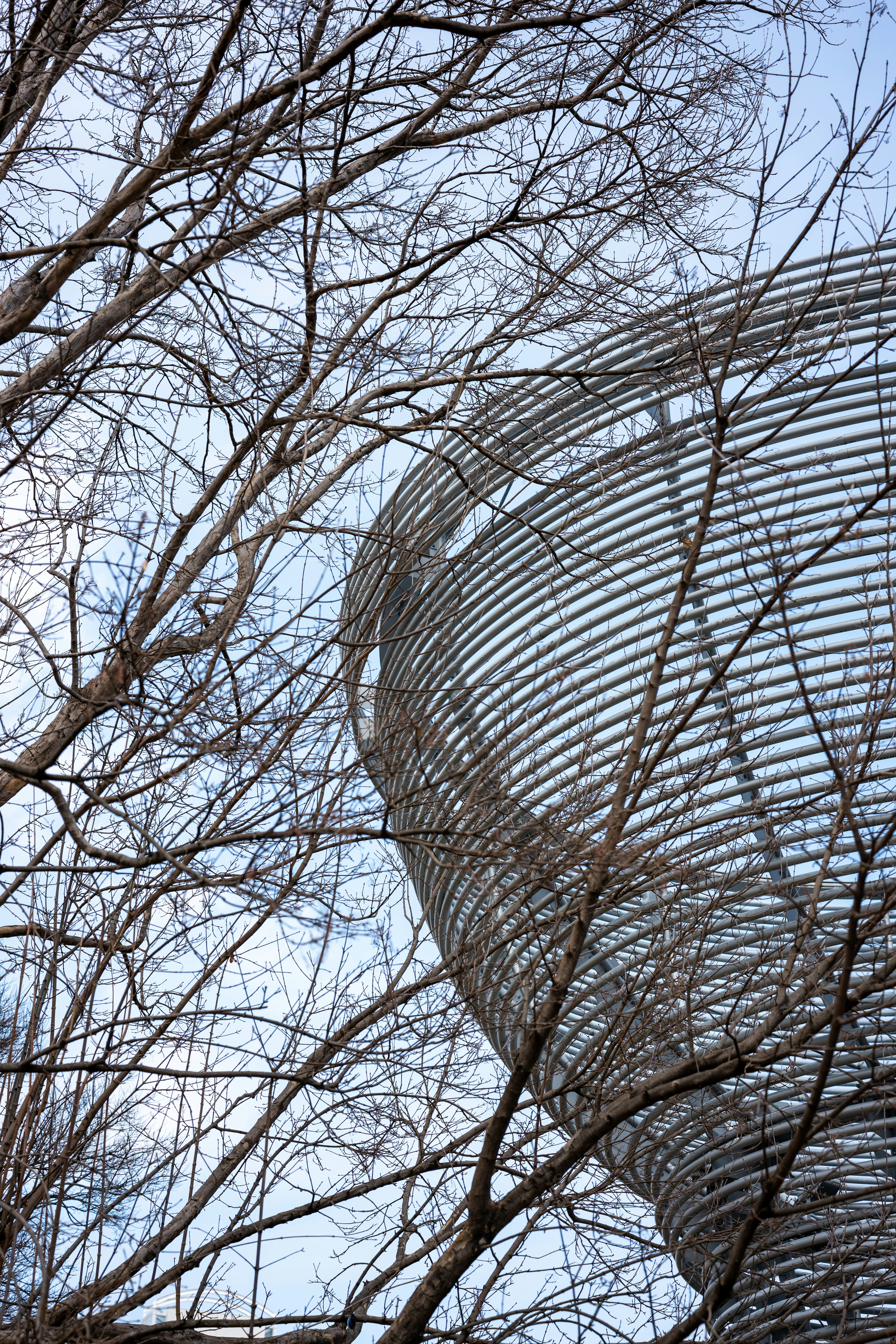 Nackte Äste rahmen eine moderne Spiralskulptur ein.