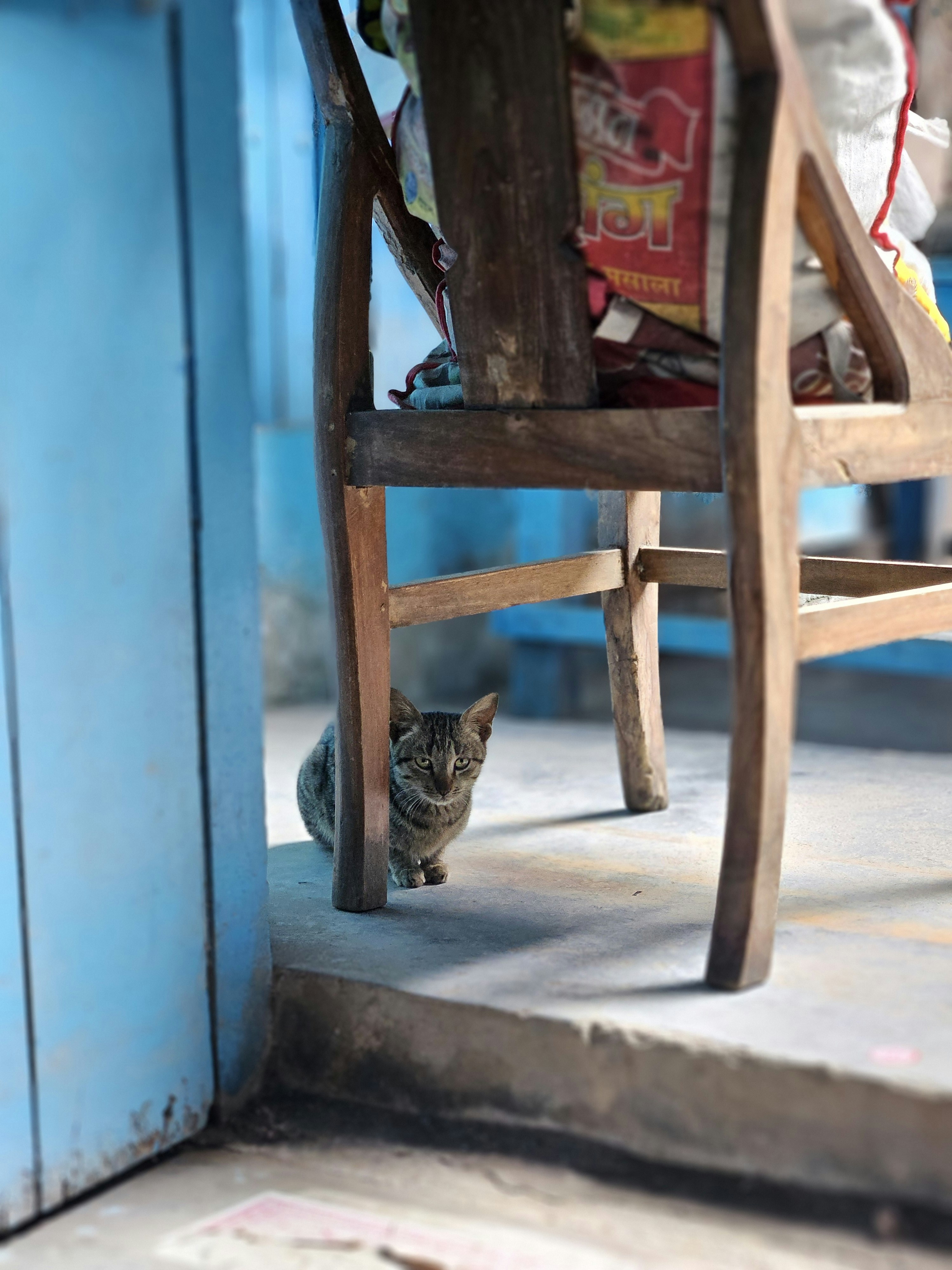 Photo by anmolcreation