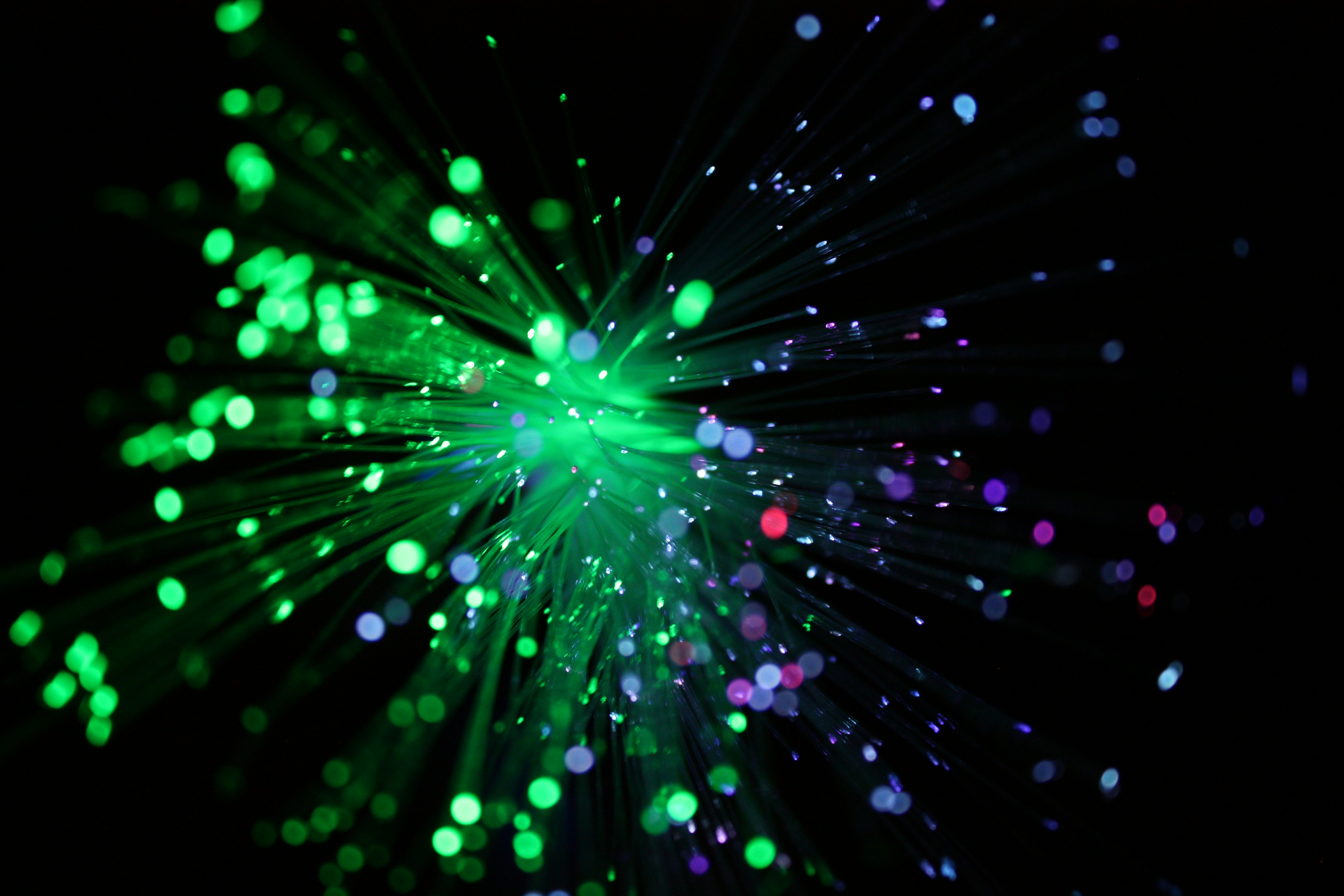 Photo by latteinacup