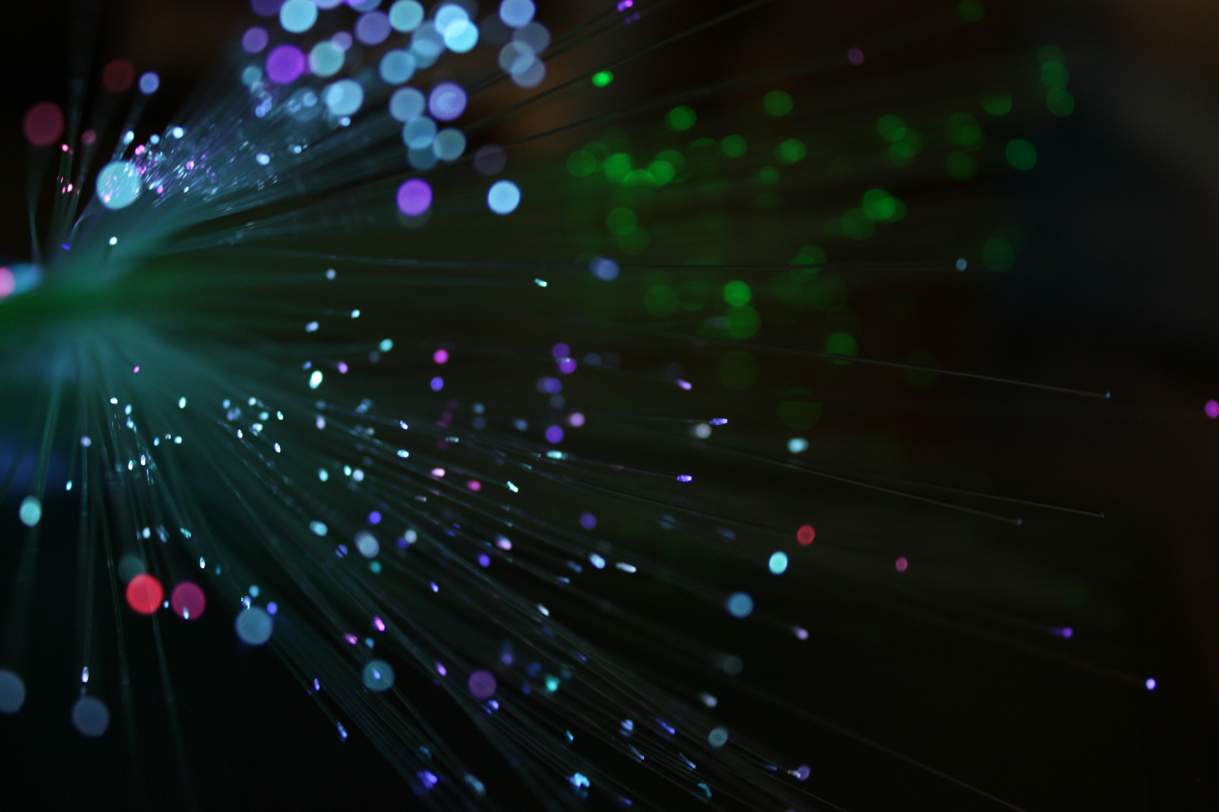 Photo by latteinacup