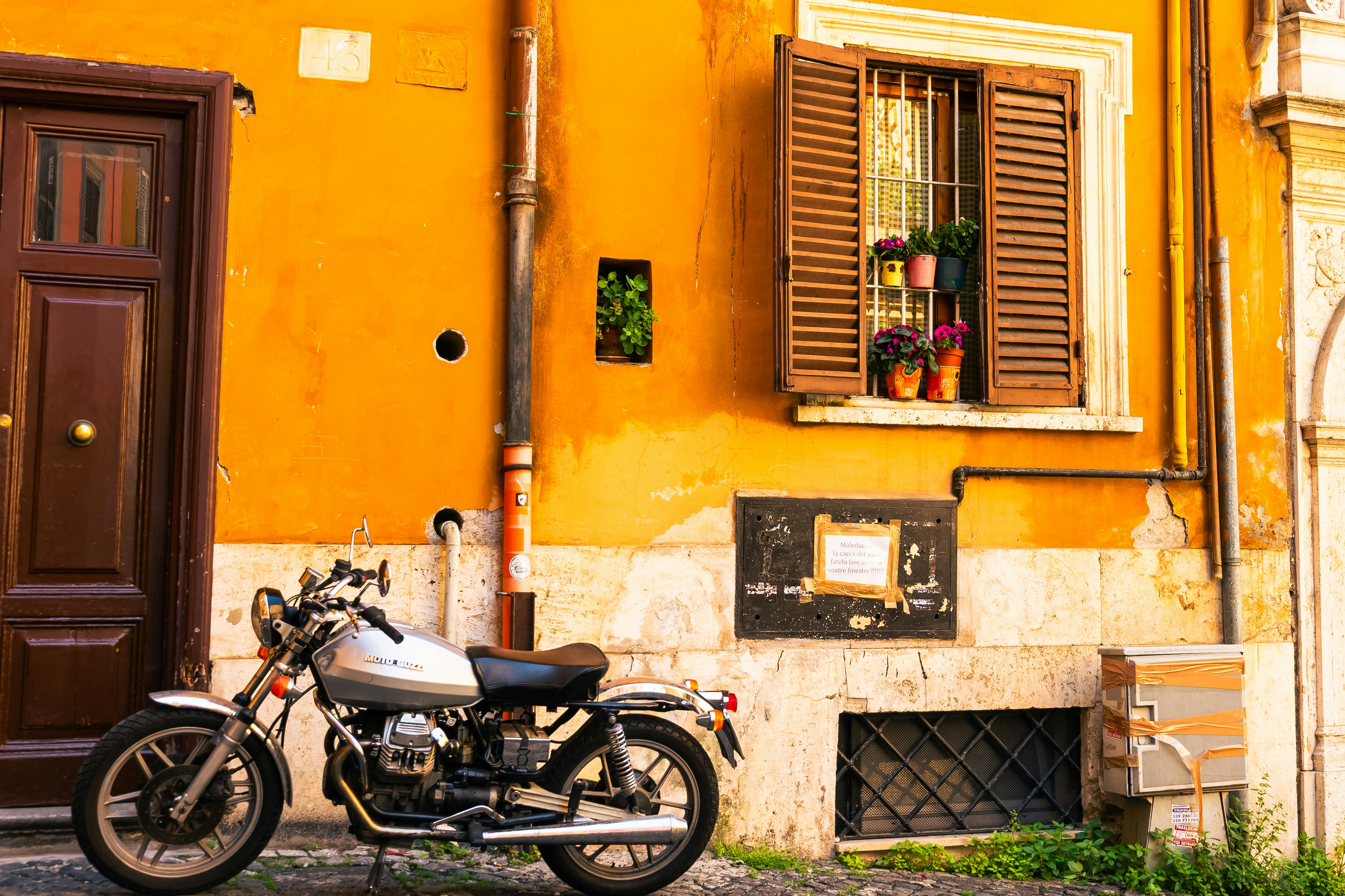 Photo by solomonikvik