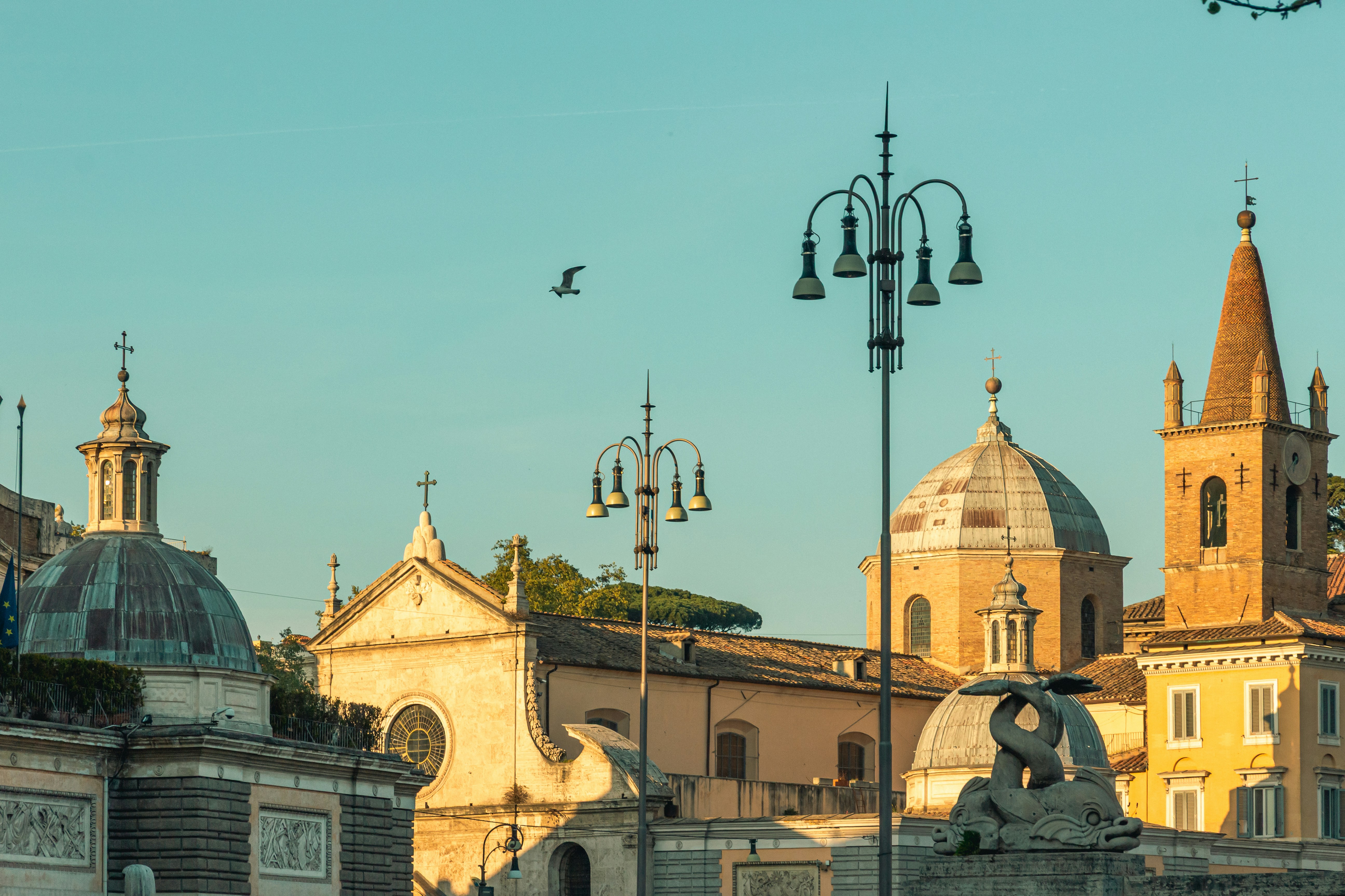 Photo by solomonikvik