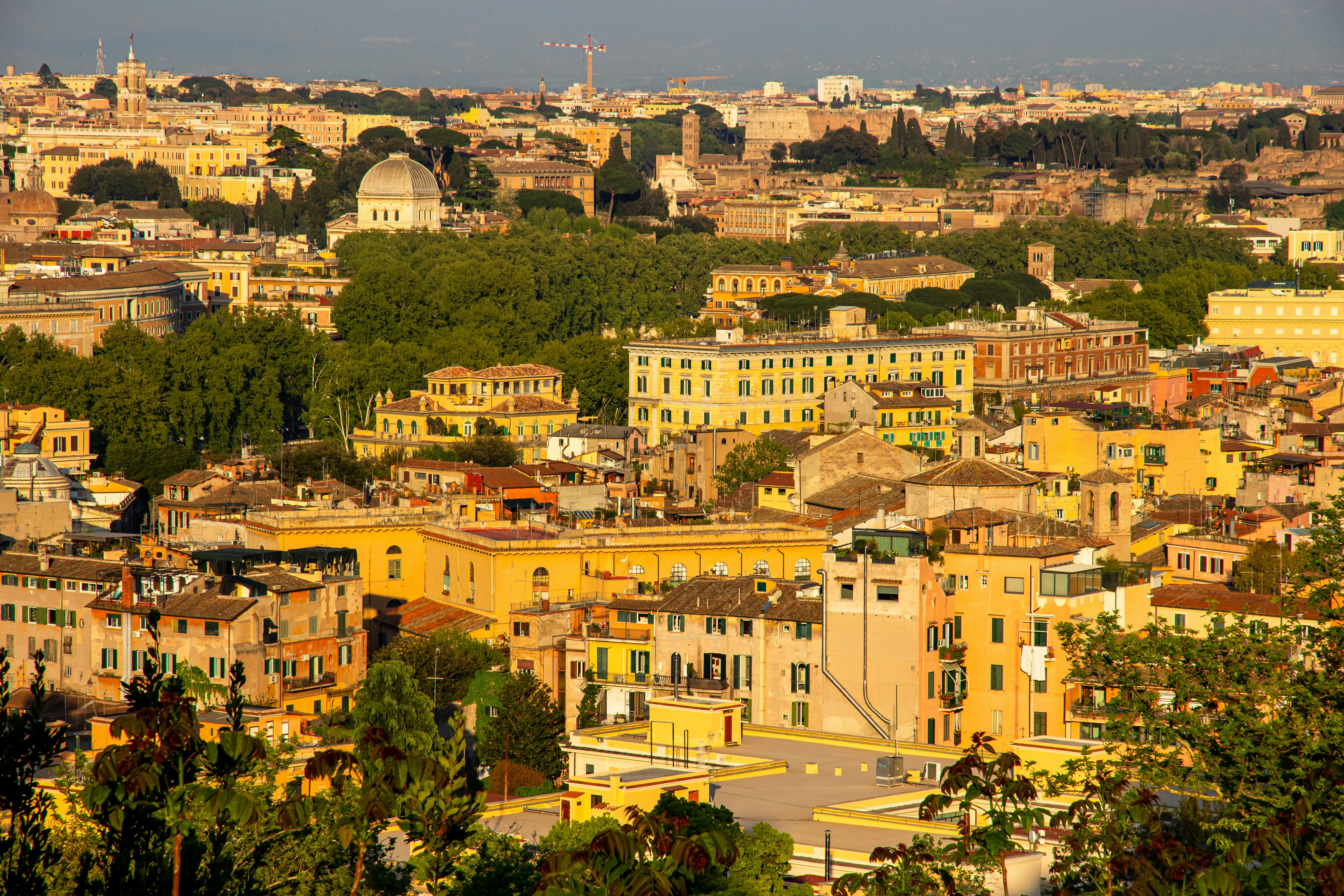 Photo by solomonikvik