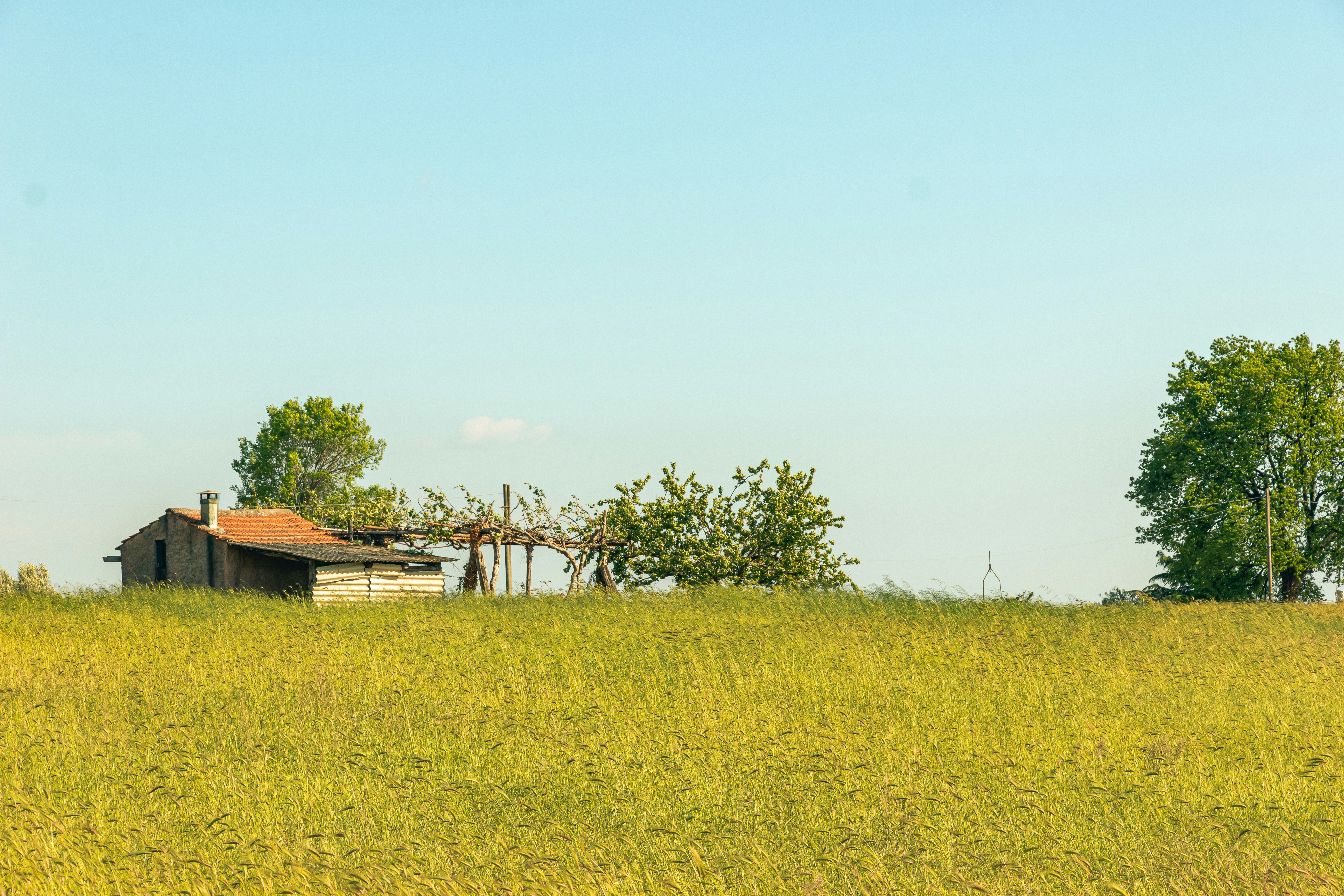 Photo by solomonikvik