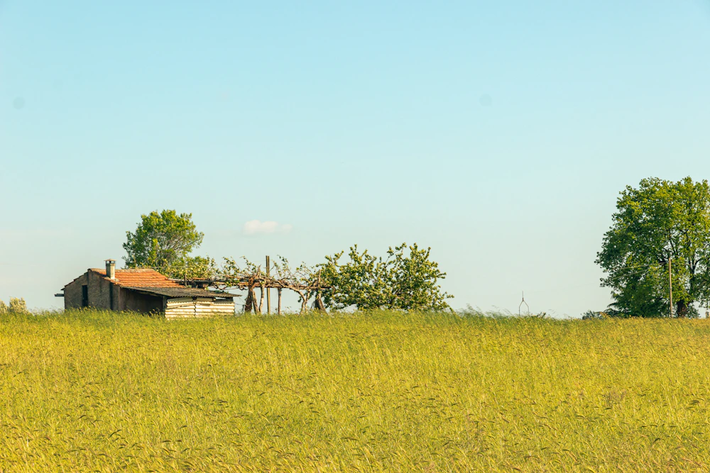 Open farmland under a wide sky
