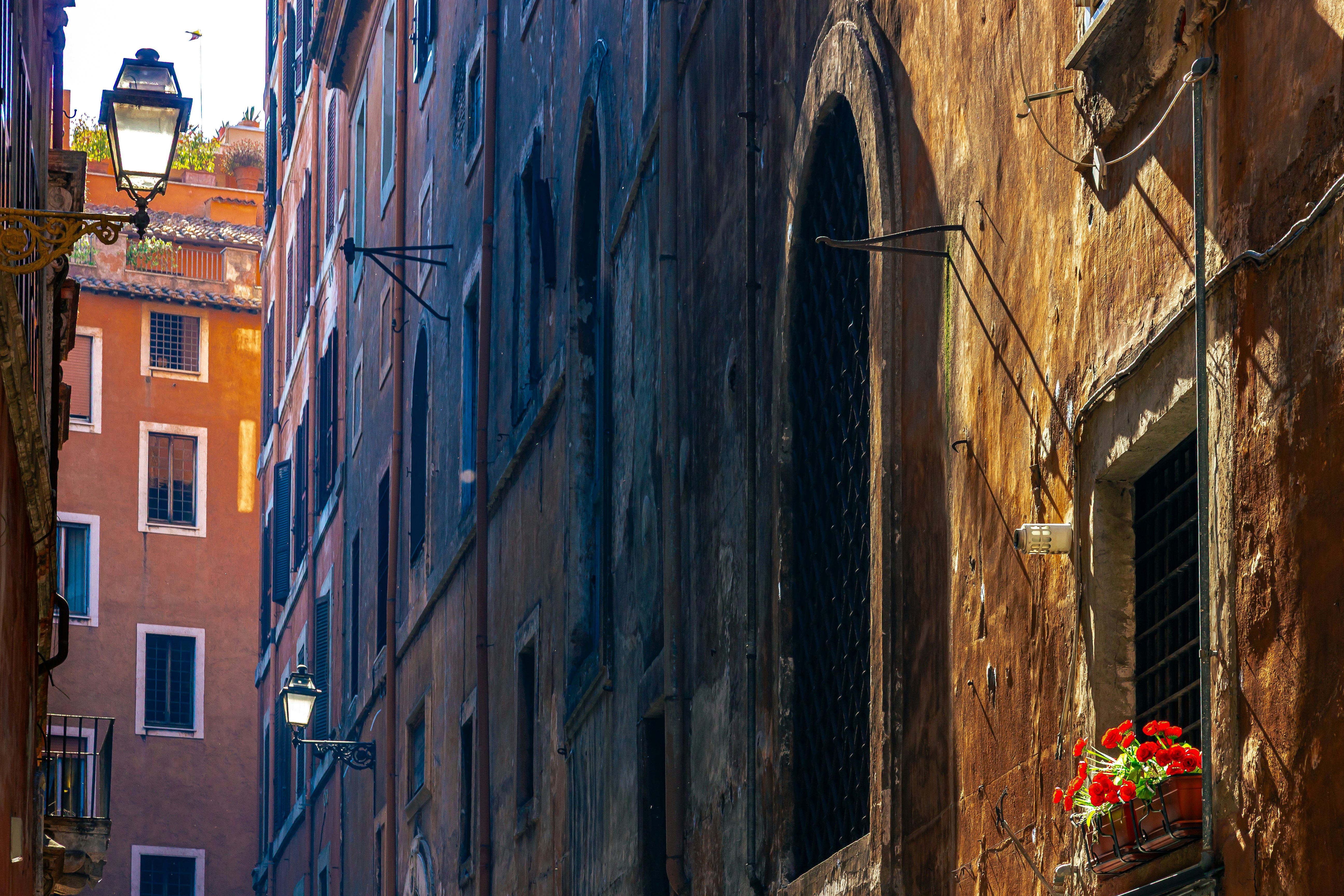 Photo by solomonikvik