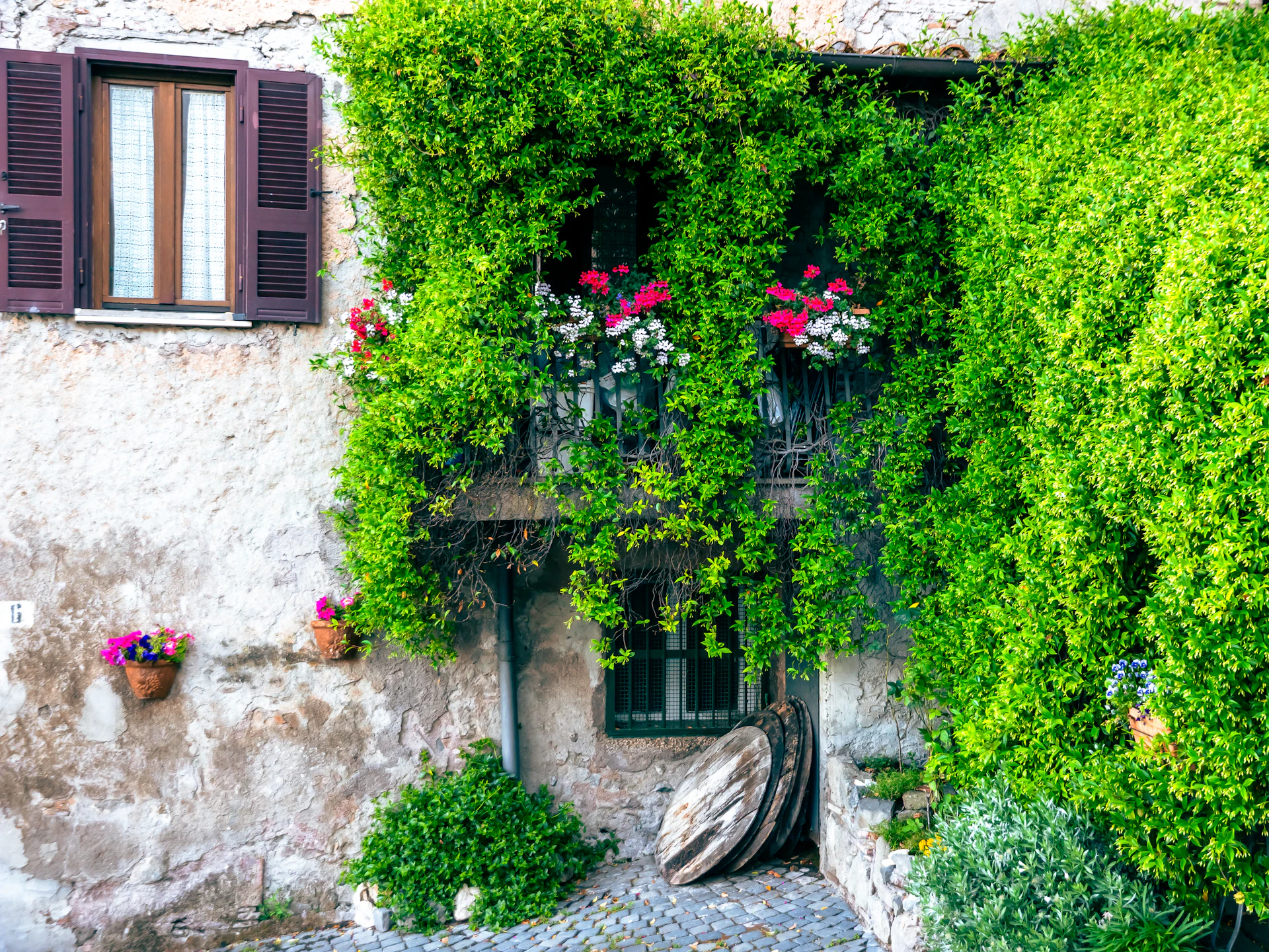 Facciata in pietra coperta di edera, con finestre fiorite