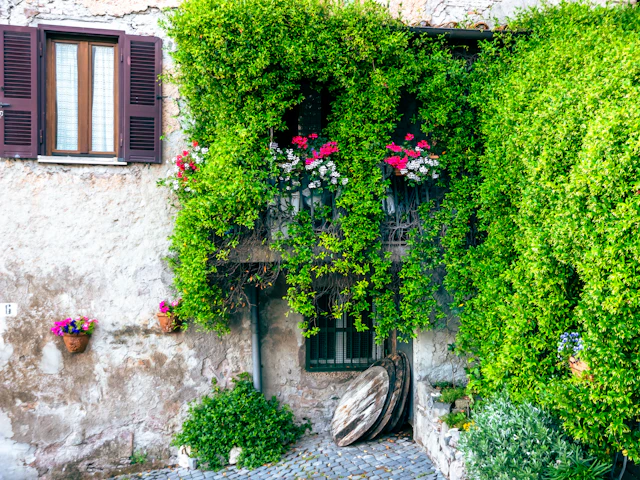 Facciata in pietra coperta di edera, con finestre fiorite