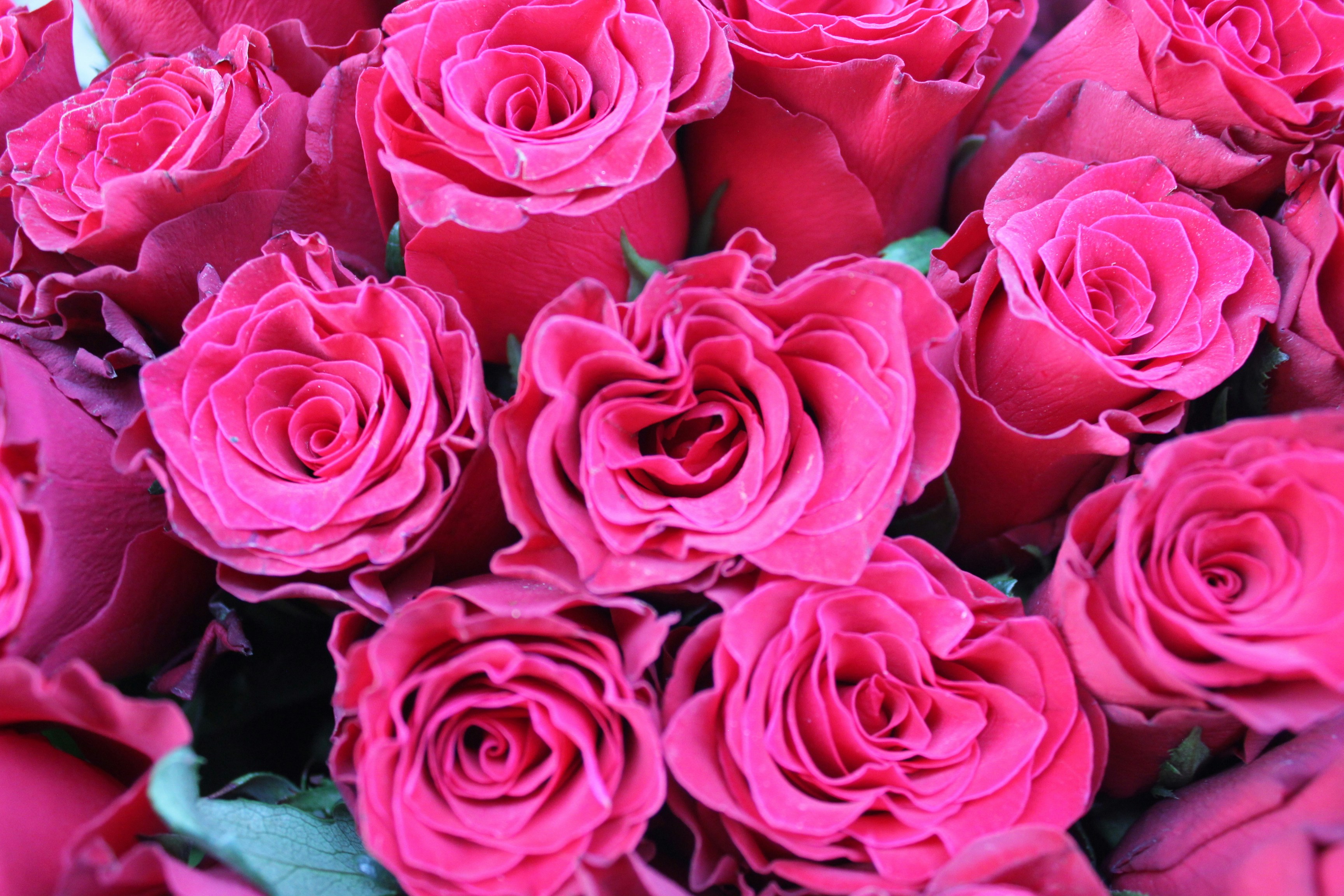 Photo by dareartworks