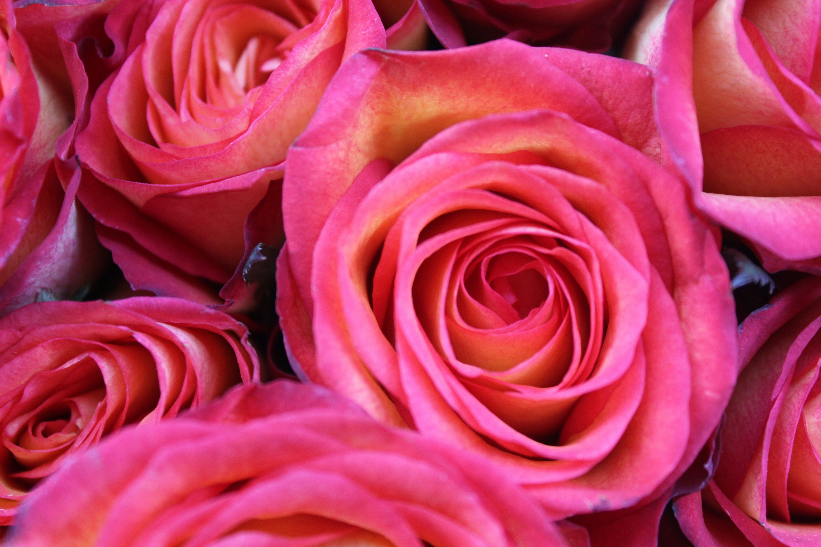 Photo by dareartworks