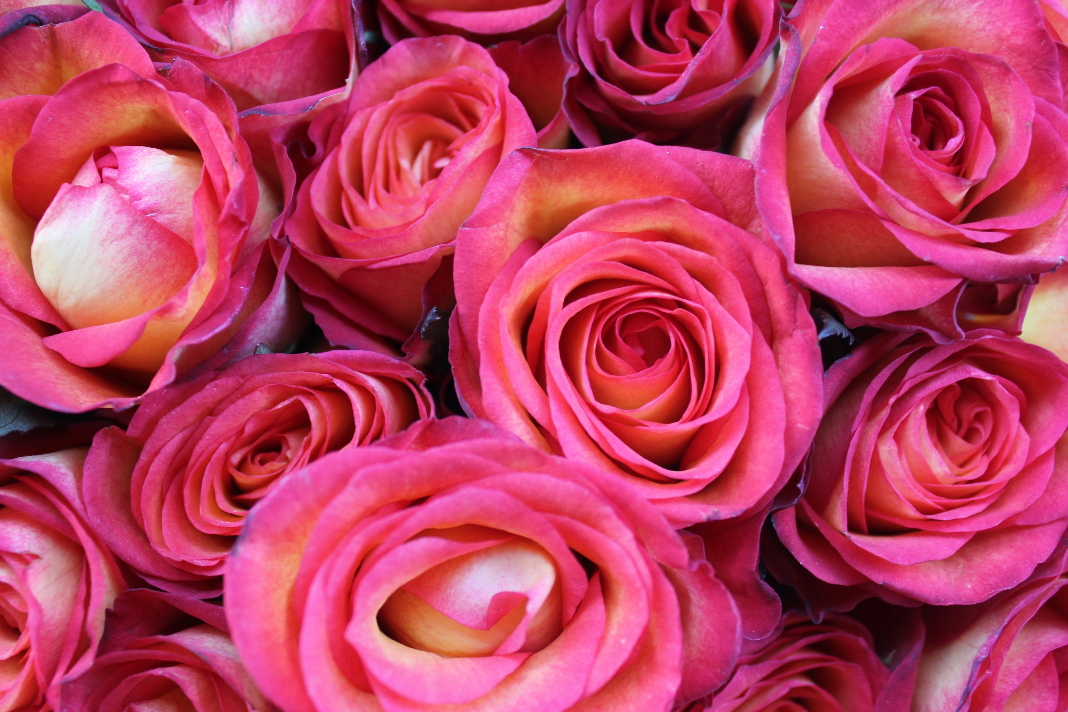 Photo by dareartworks