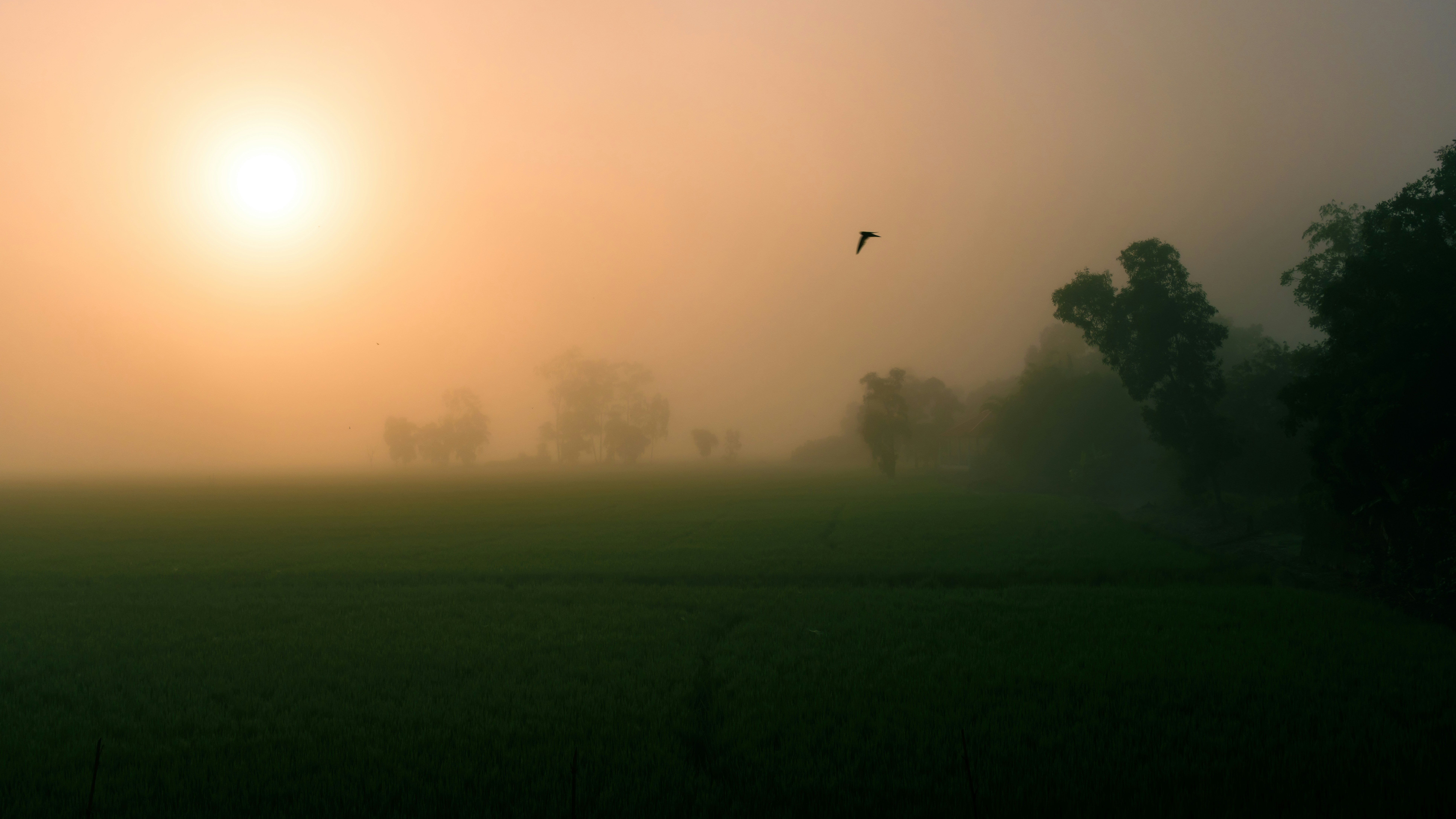 Photo by phuocsangvn