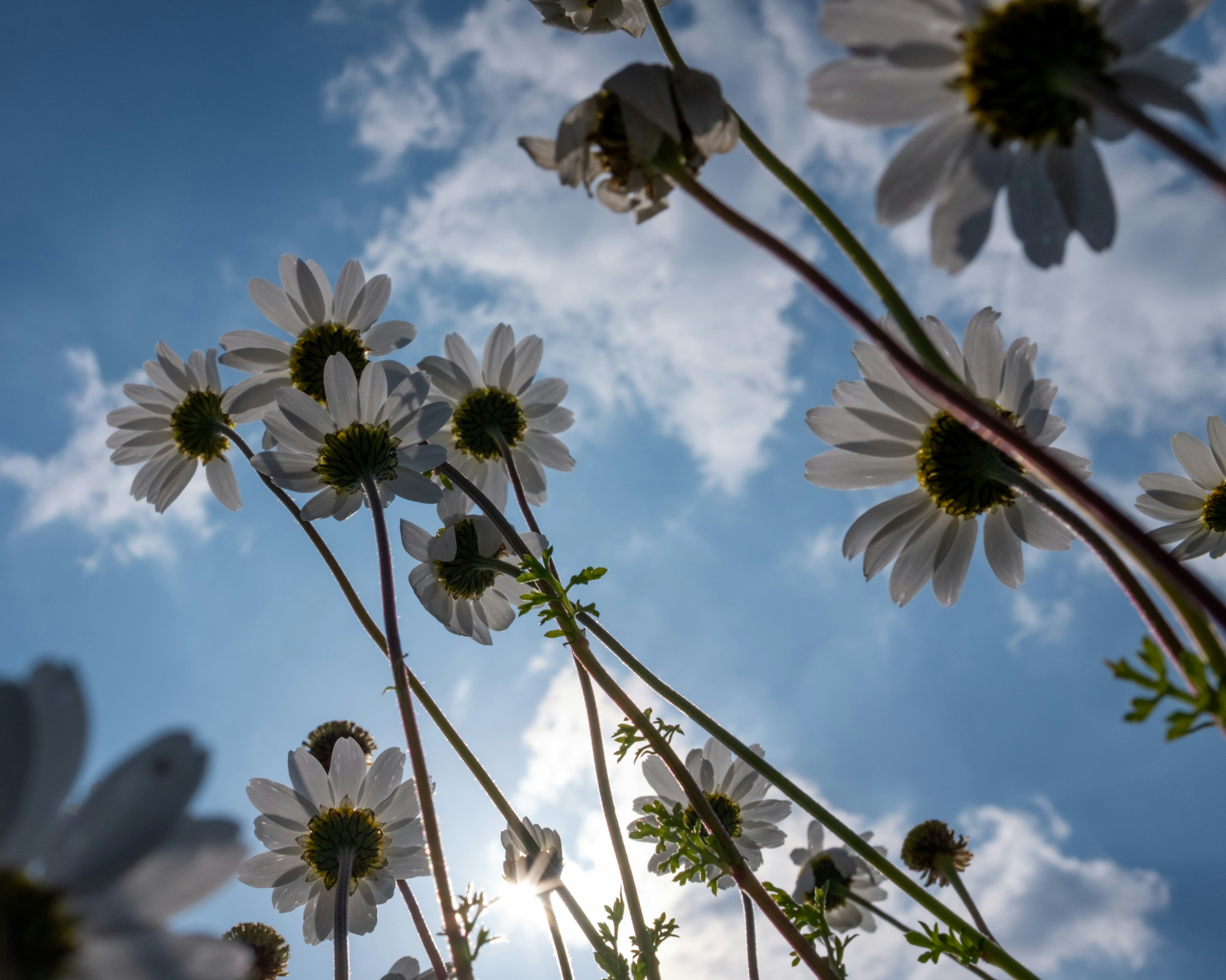 Photo by oldsoulframes