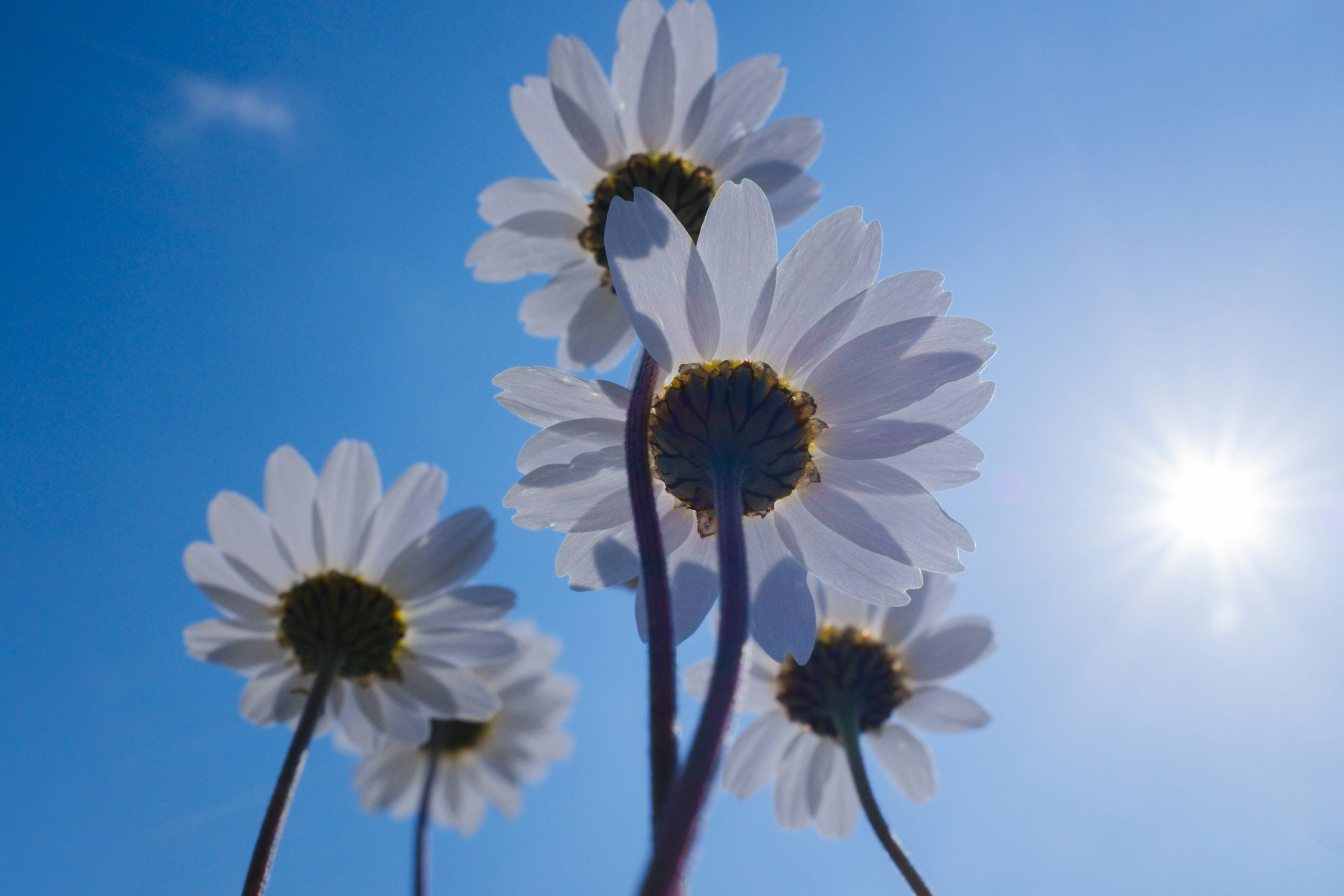 Photo by oldsoulframes