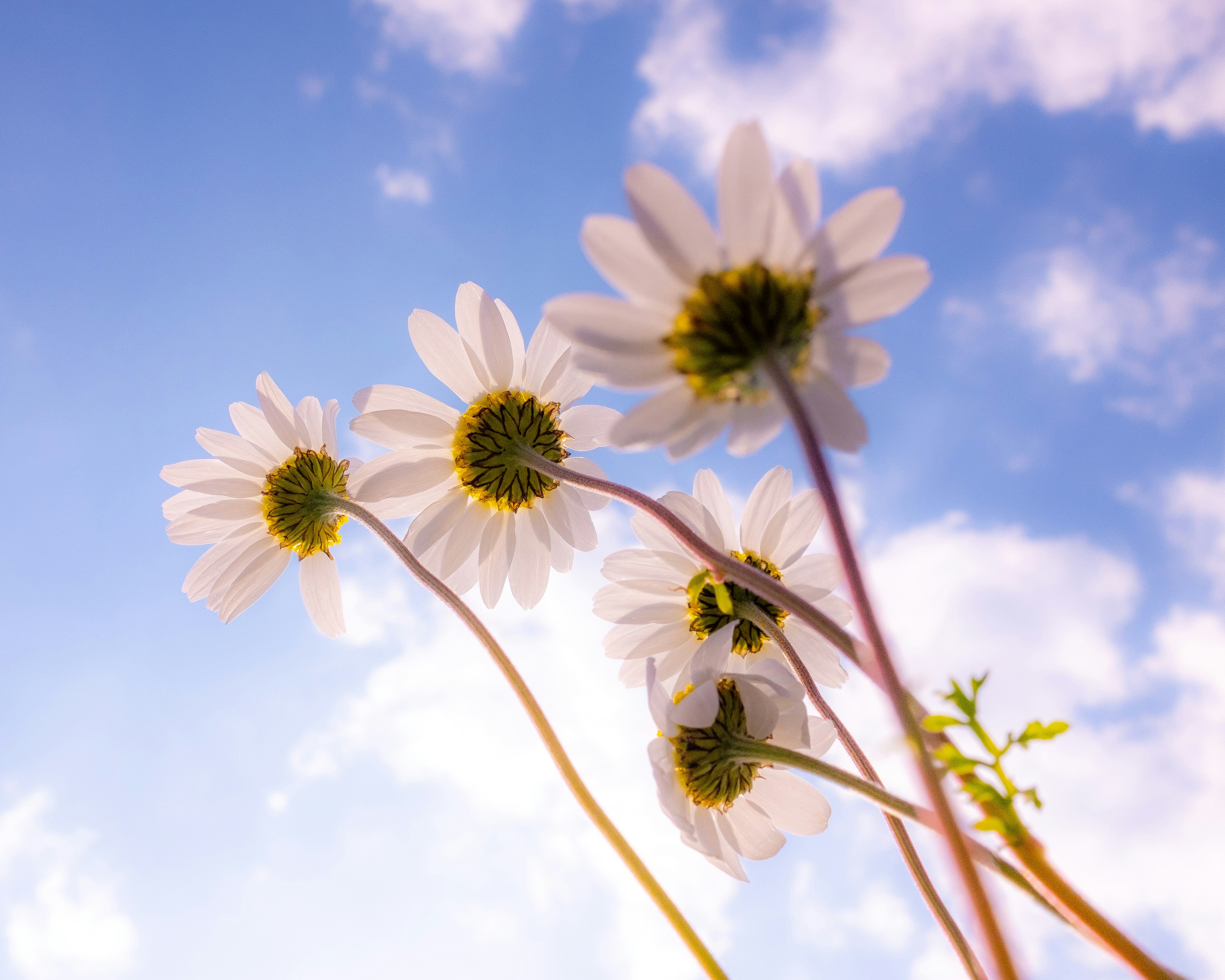 Photo by oldsoulframes