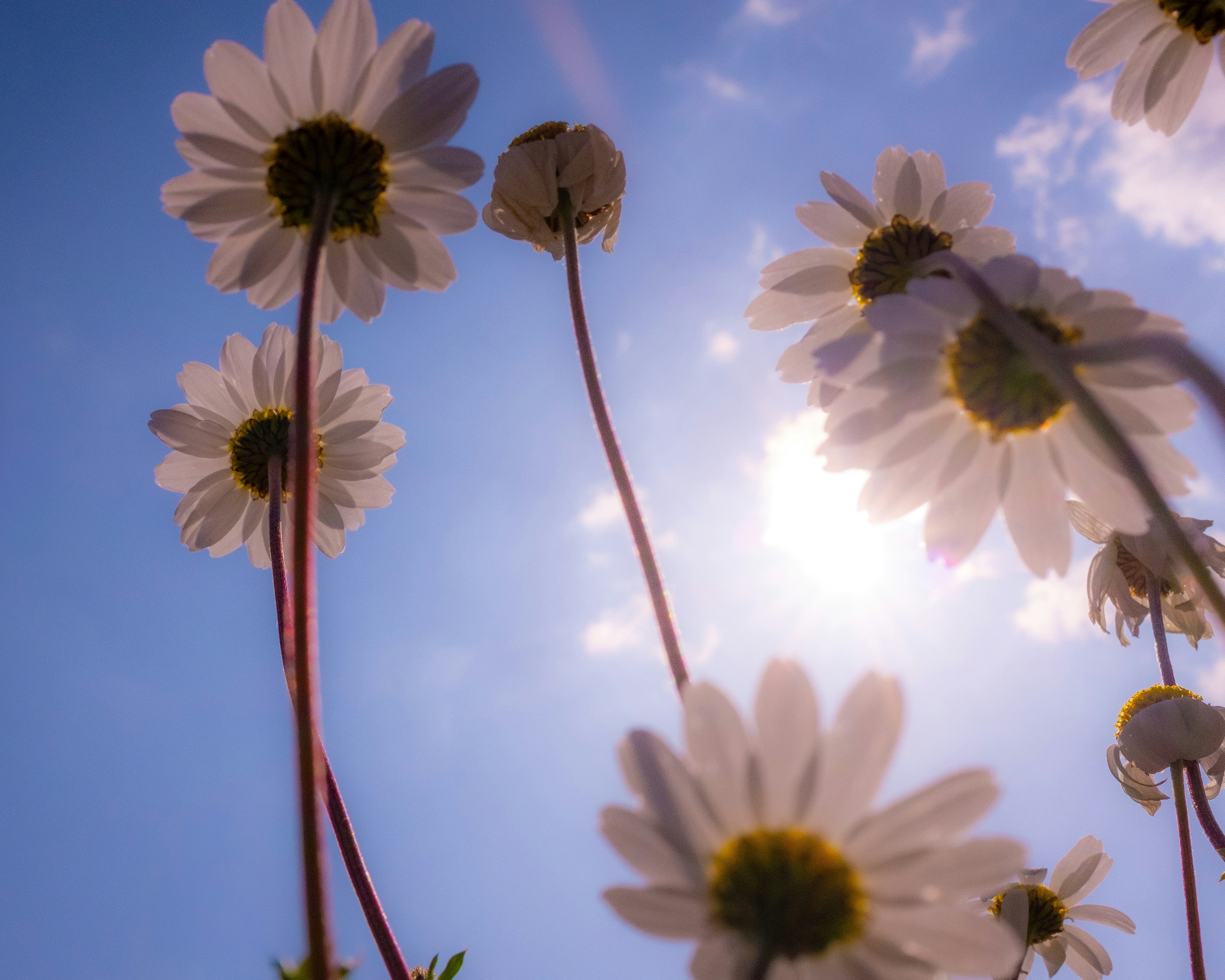 Photo by oldsoulframes