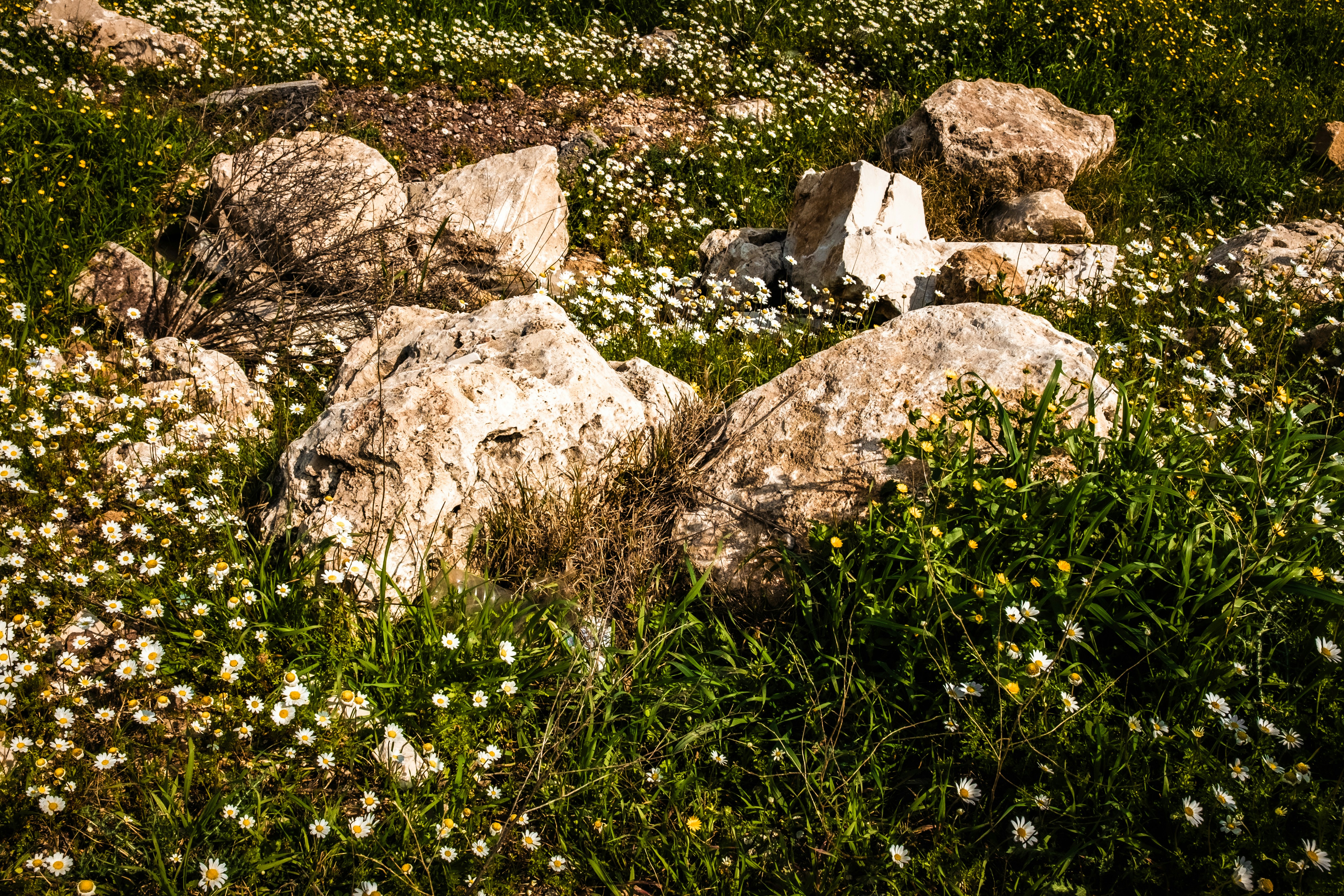 Photo by oldsoulframes