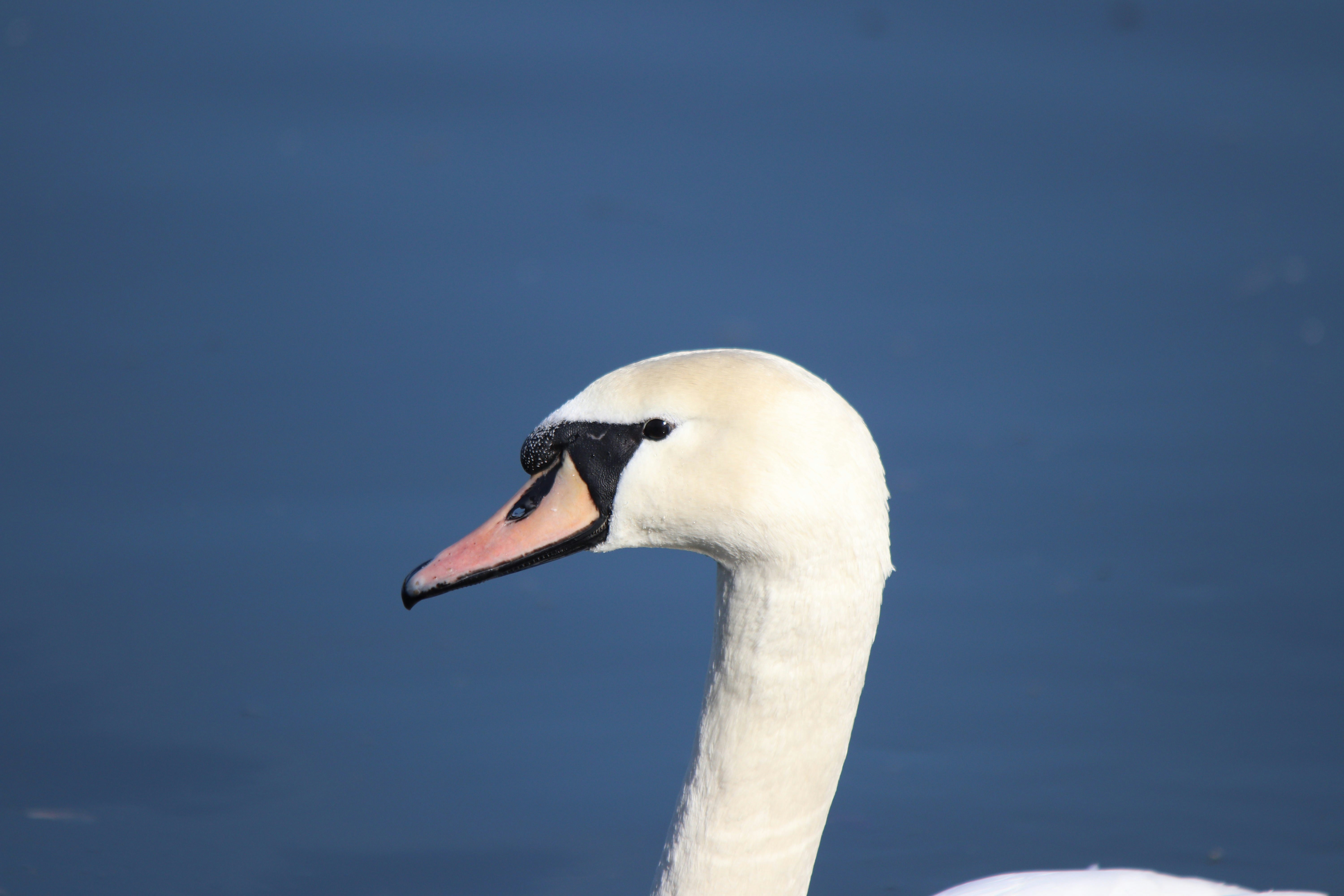 Photo by fotografialuivlad