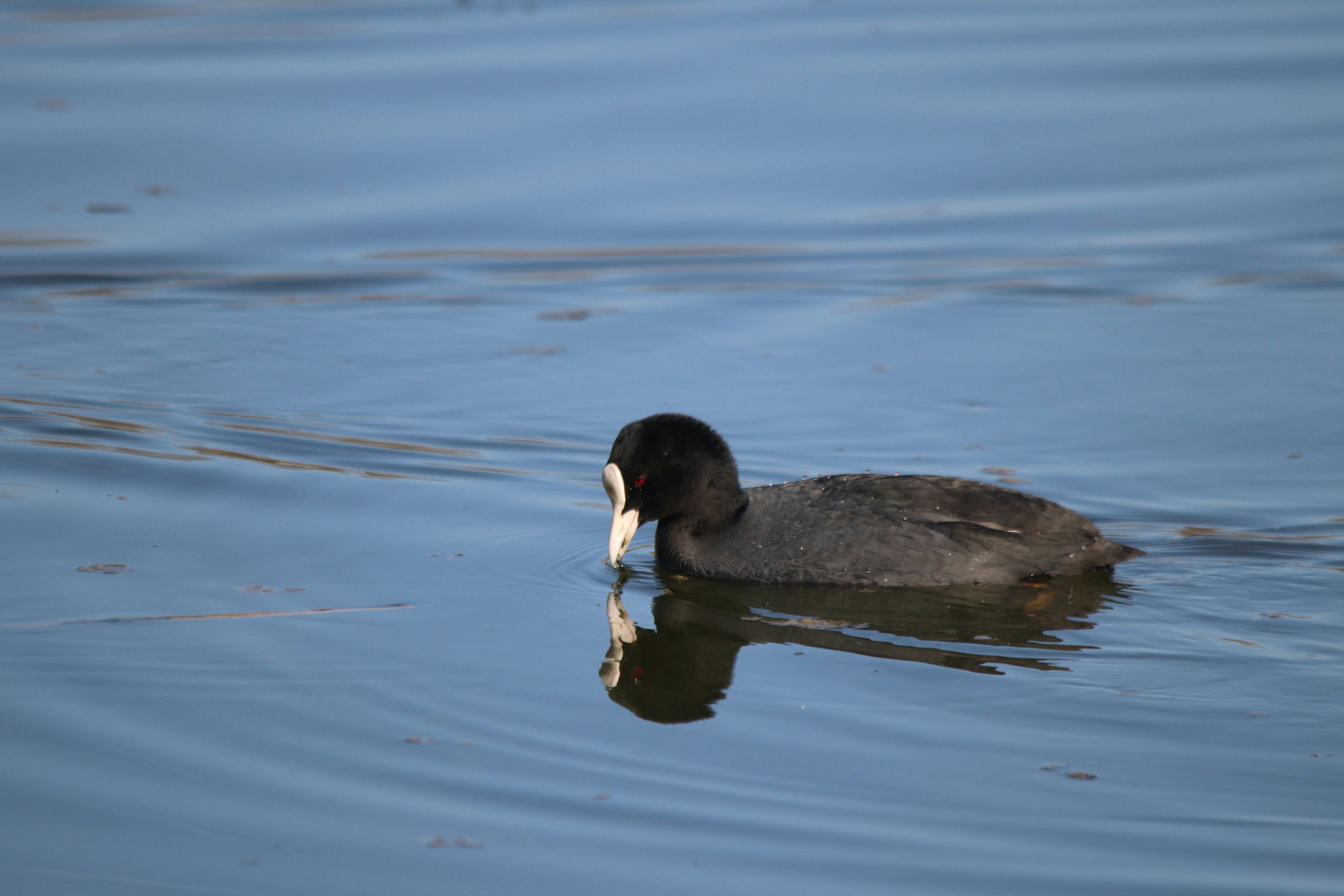 Photo by fotografialuivlad