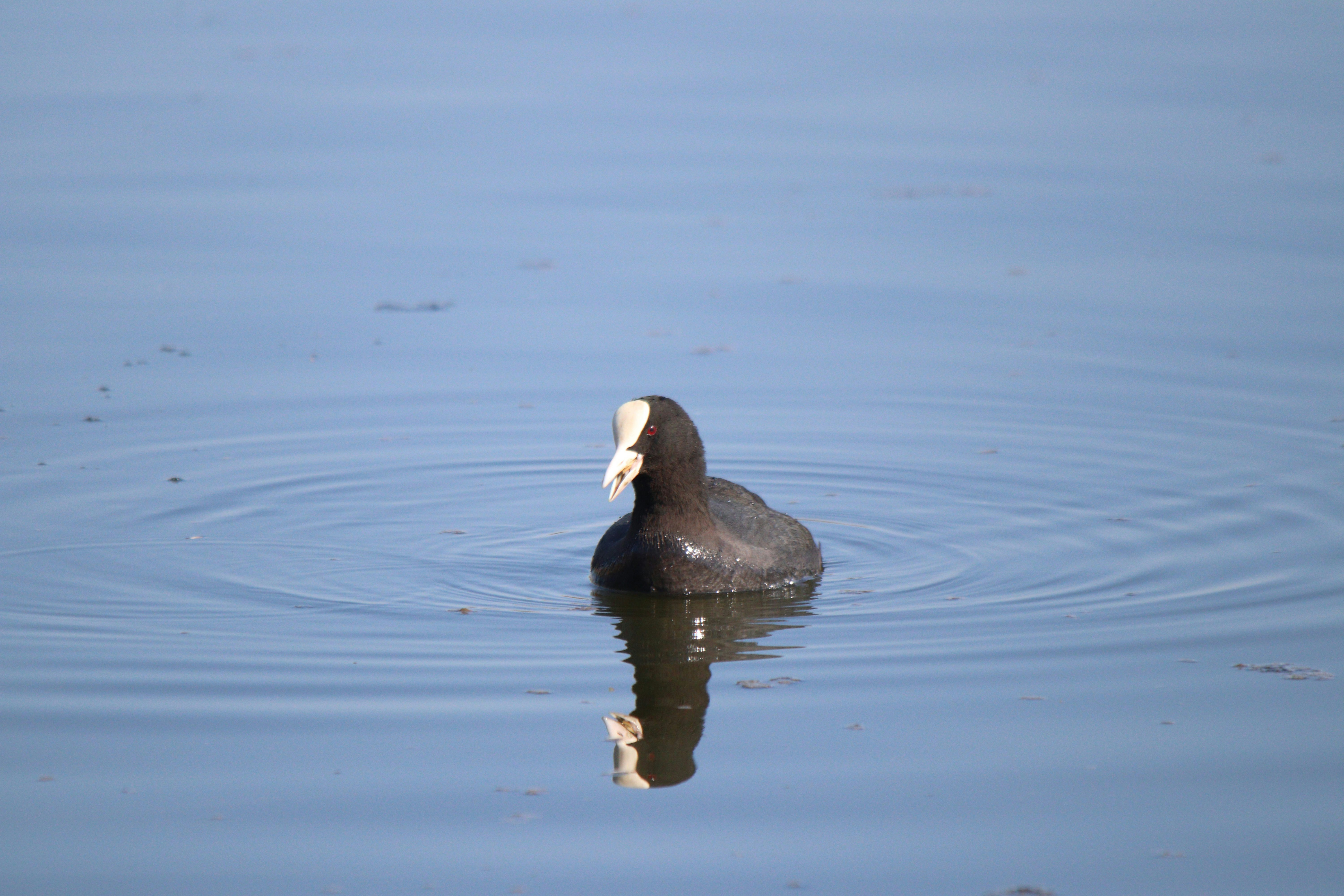 Photo by fotografialuivlad