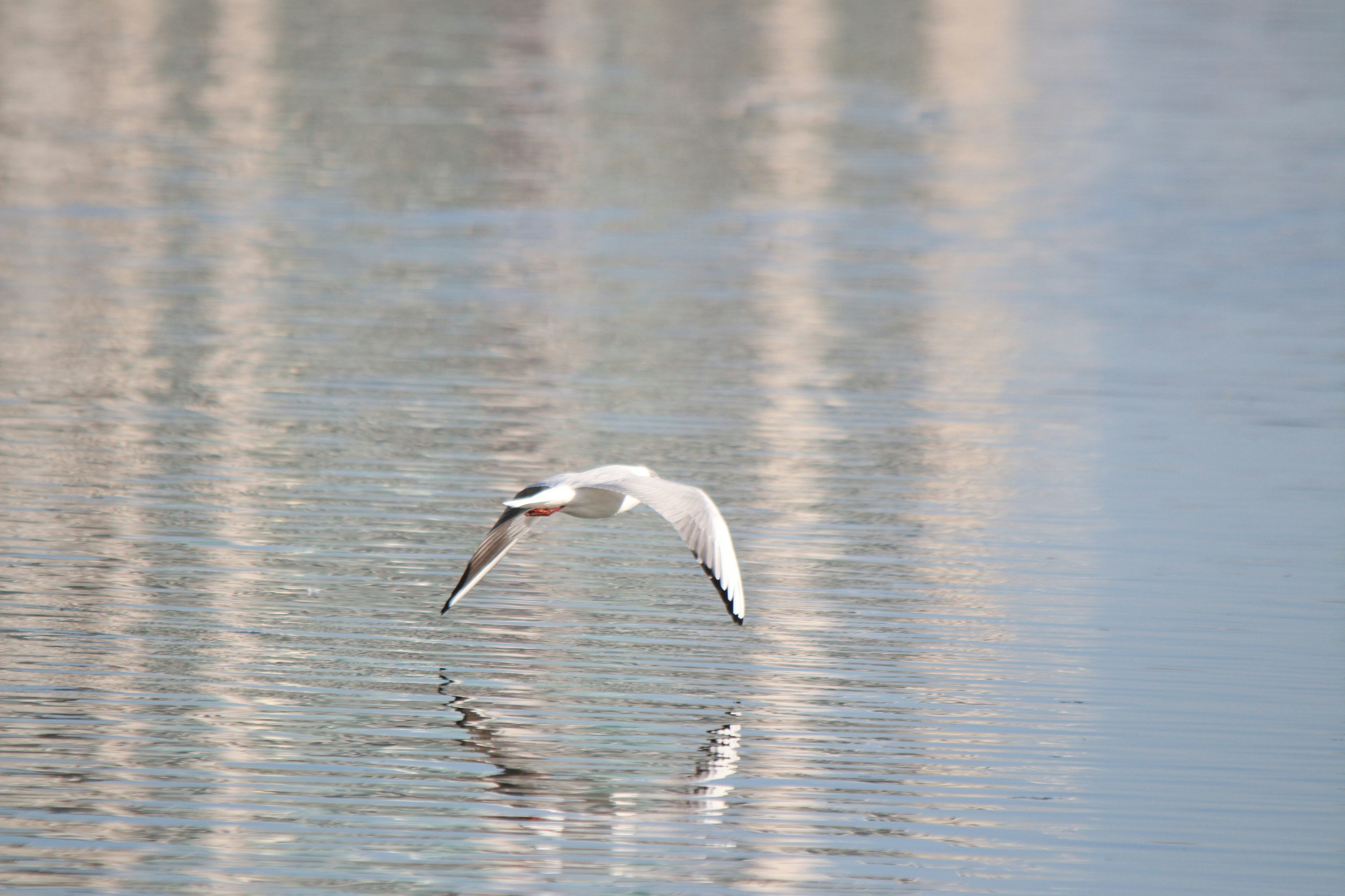 Photo by fotografialuivlad