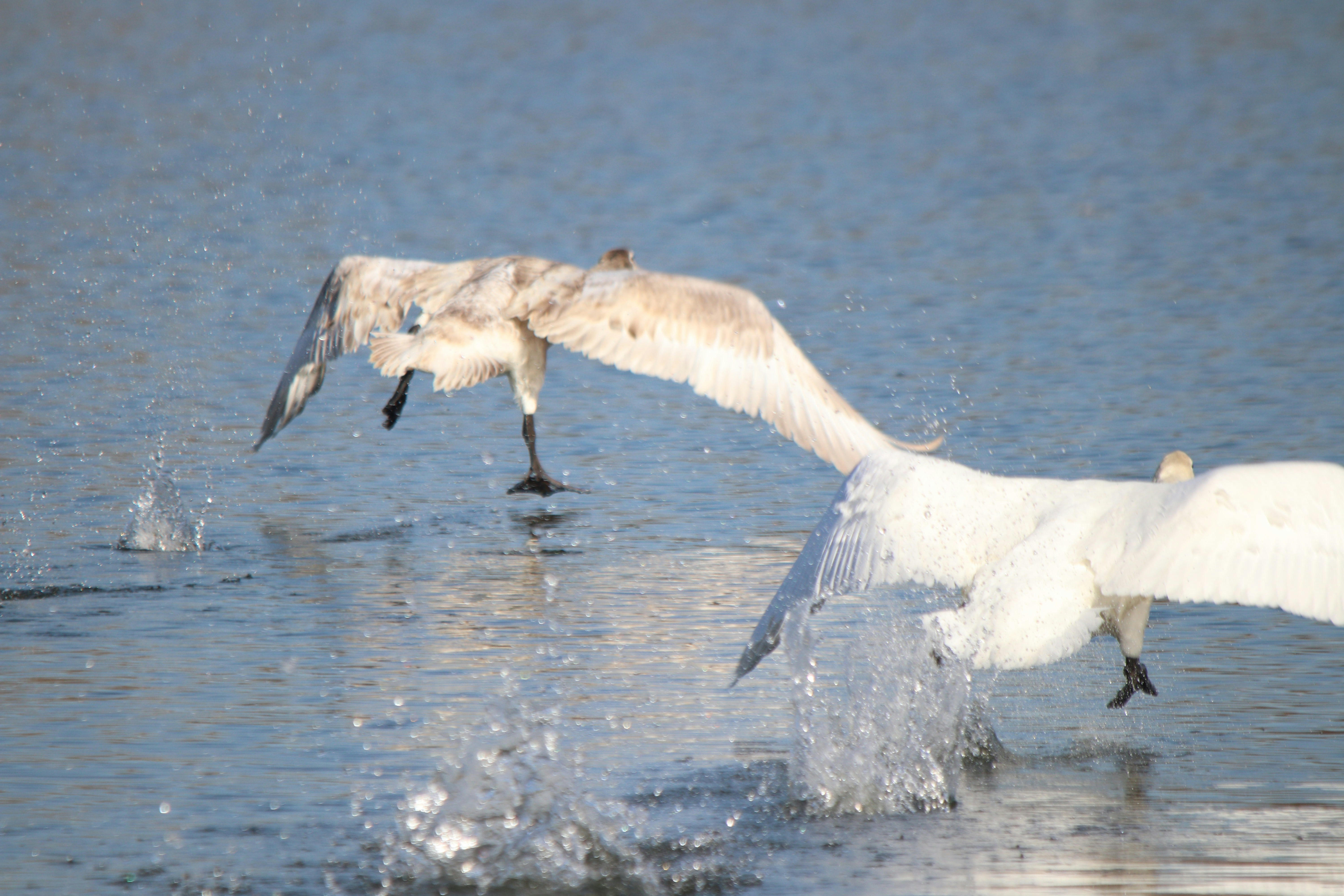 Photo by fotografialuivlad