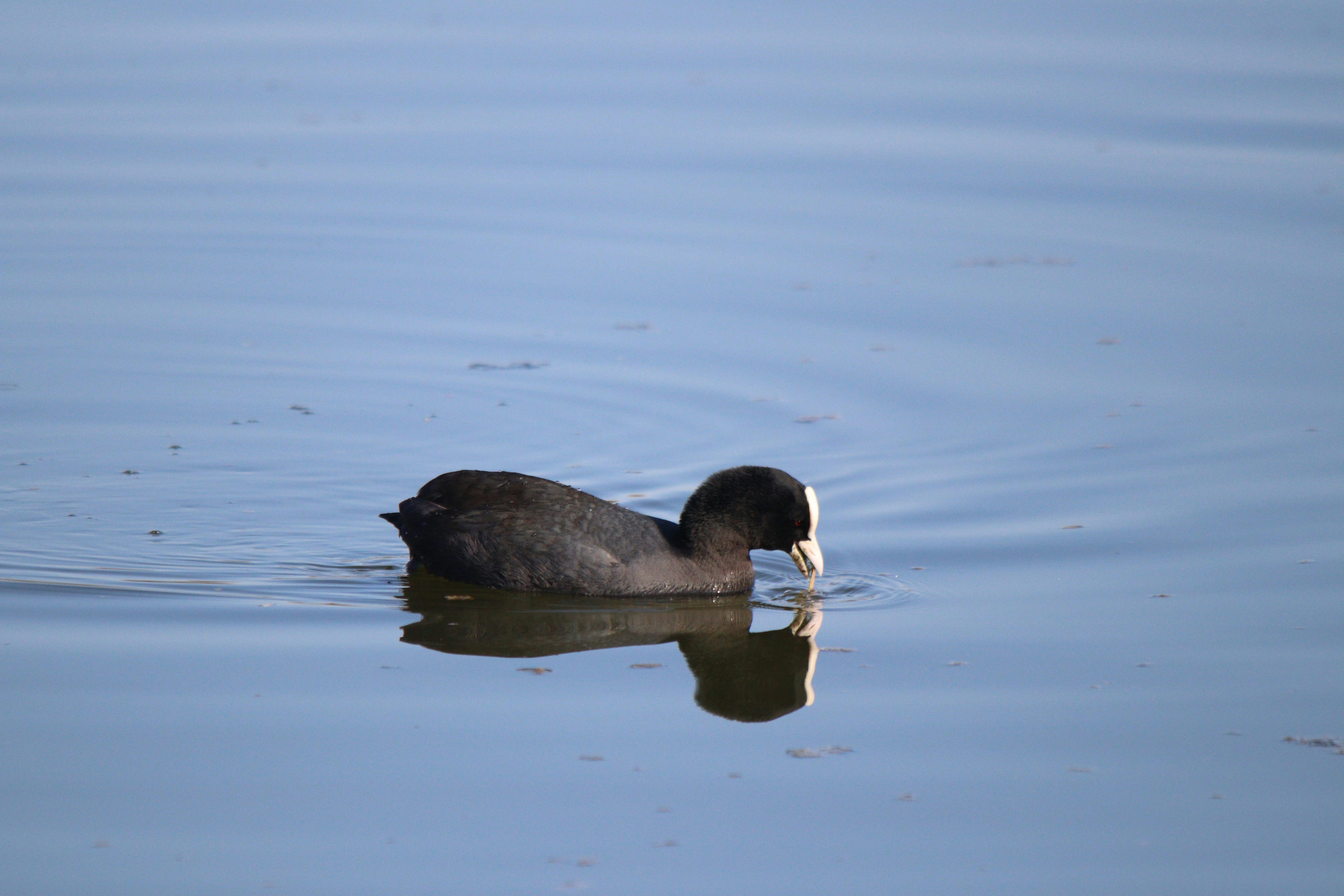 Photo by fotografialuivlad