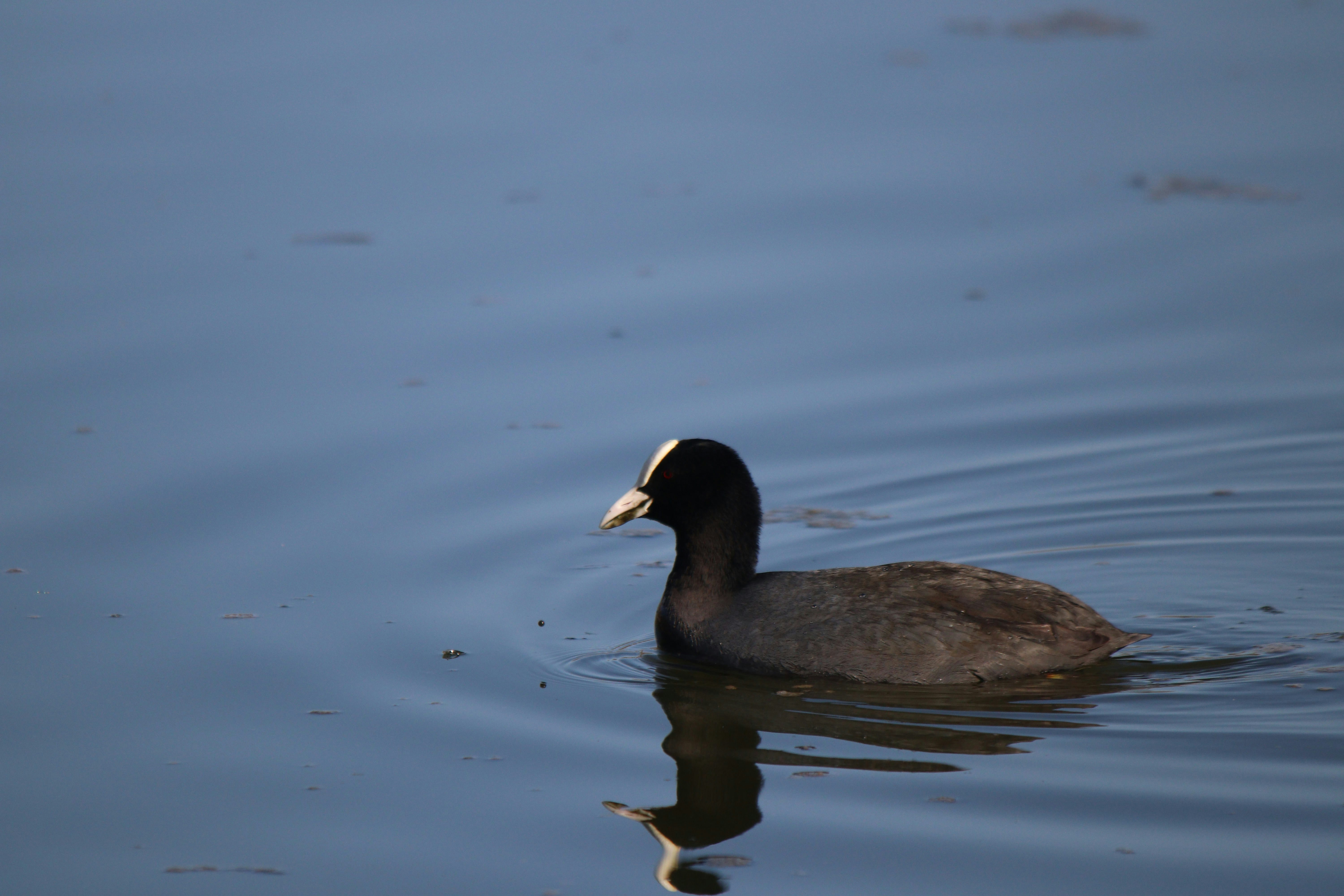 Photo by fotografialuivlad