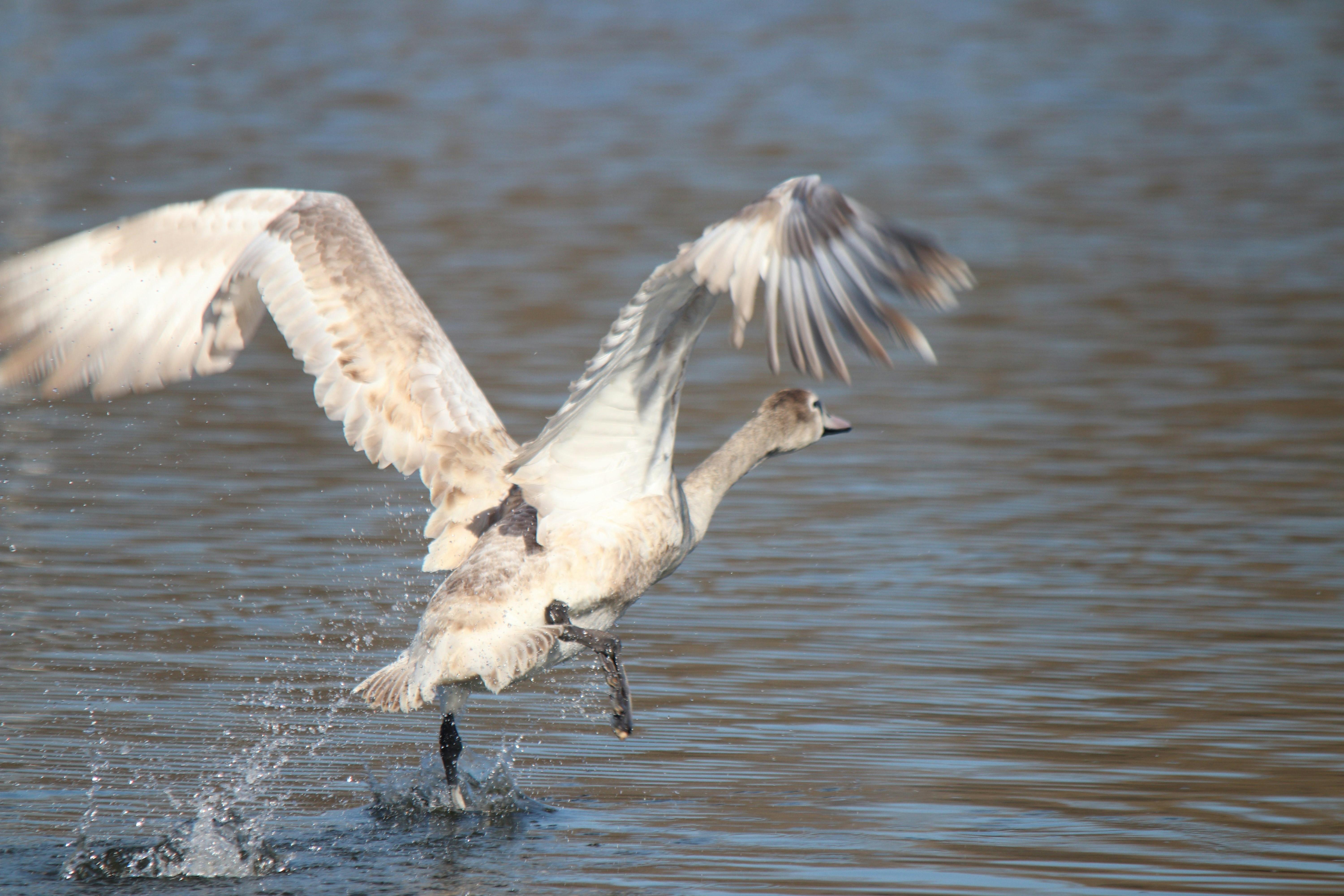 Photo by fotografialuivlad