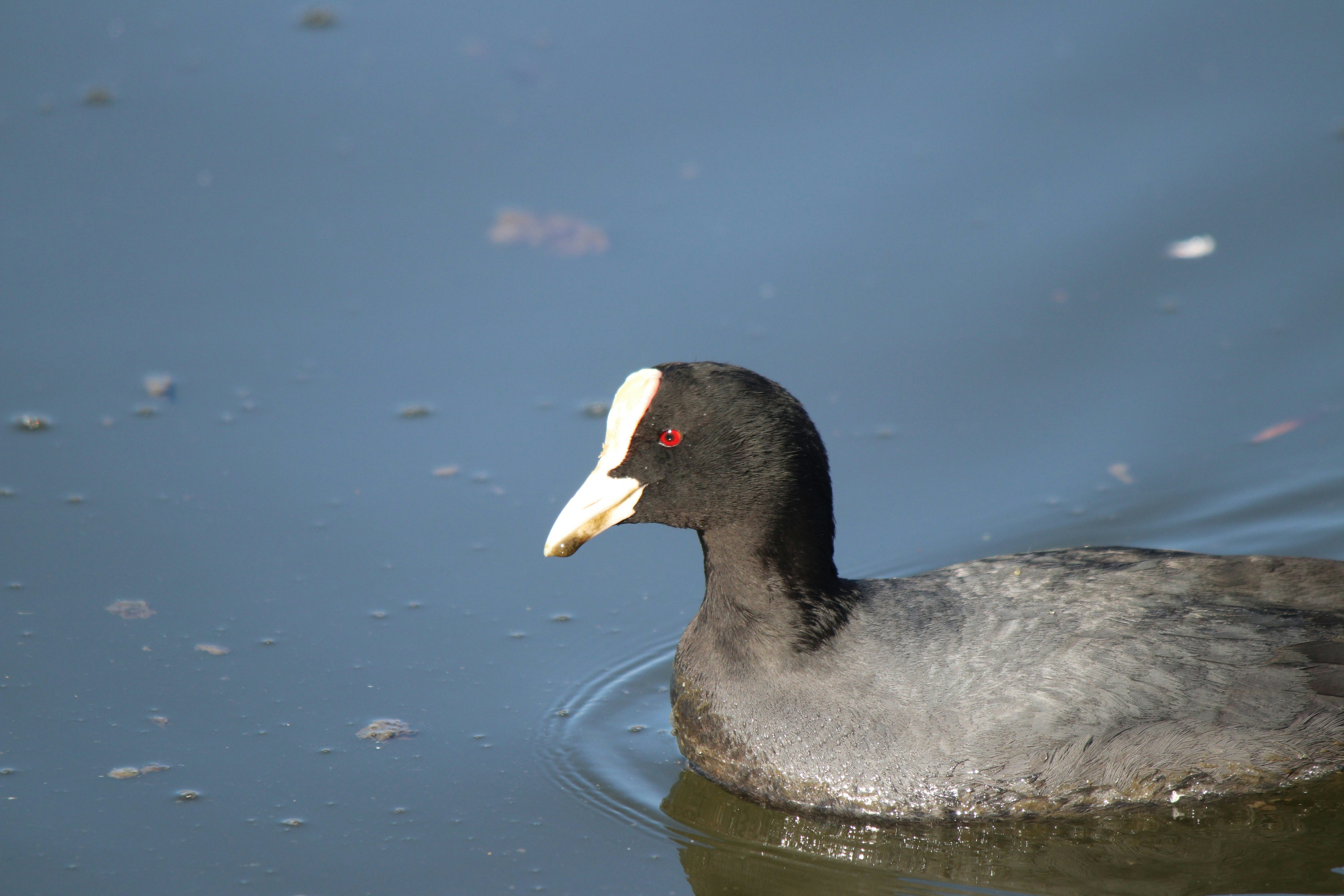 Photo by fotografialuivlad