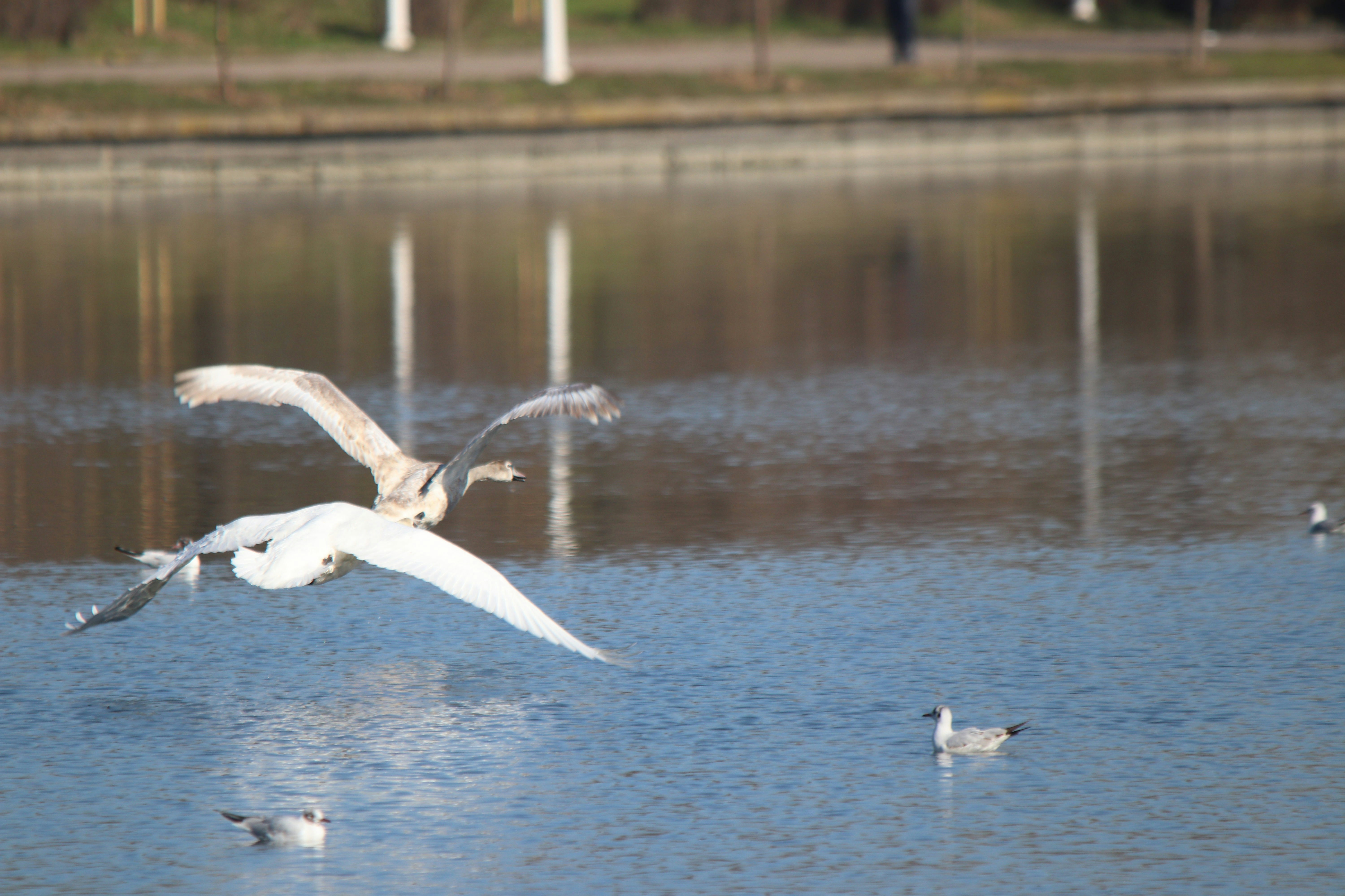 Photo by fotografialuivlad